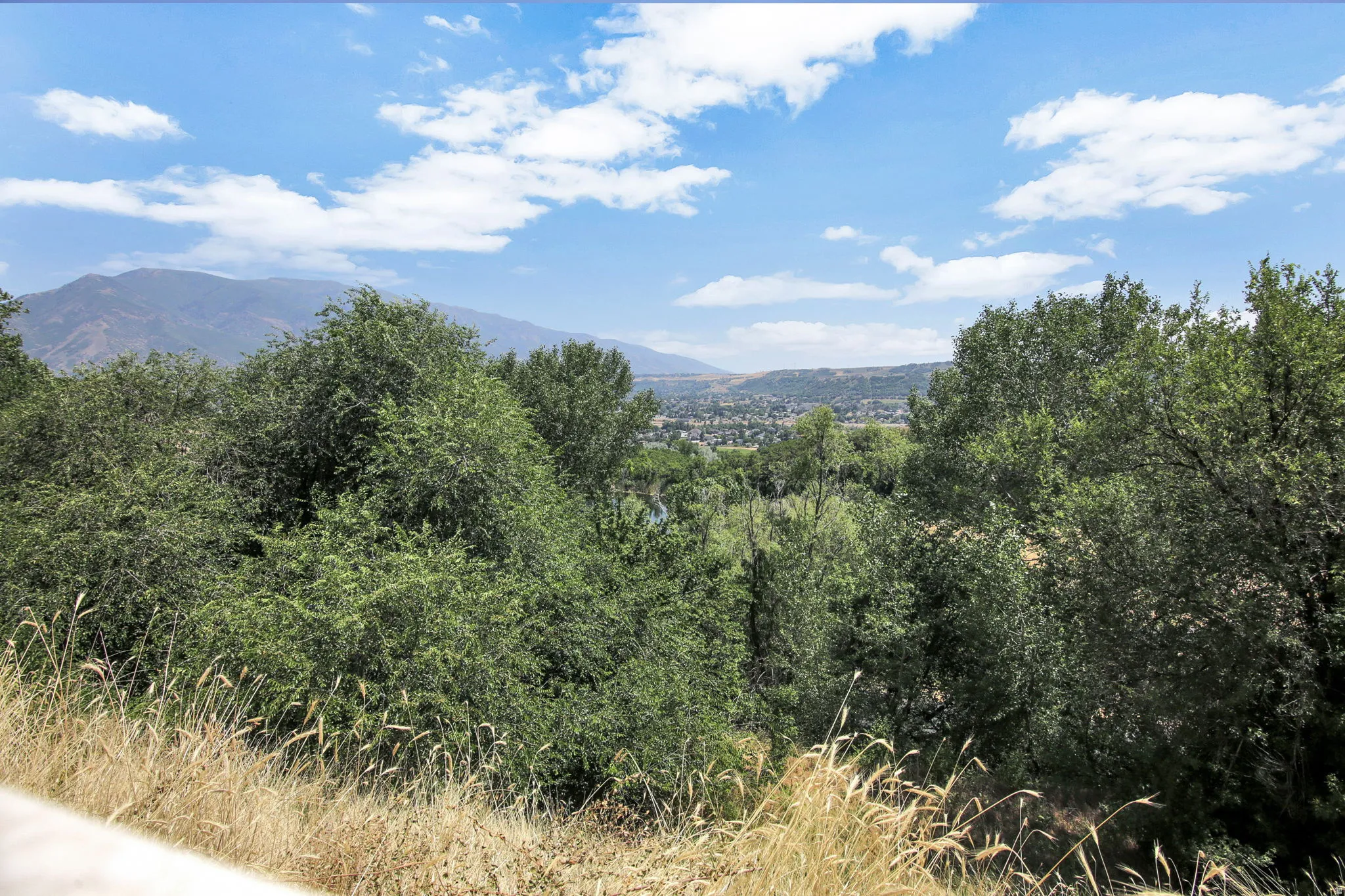 Expansive natural landscape featuring lush green trees, distant mountains, and a clear blue sky with scattered clouds