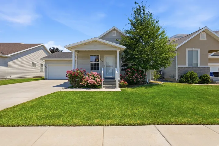 Front exterior featuring a covered entry porch, established landscaping with flowering shrubs, a mature tree, and a paved driveway leading to an attached garage