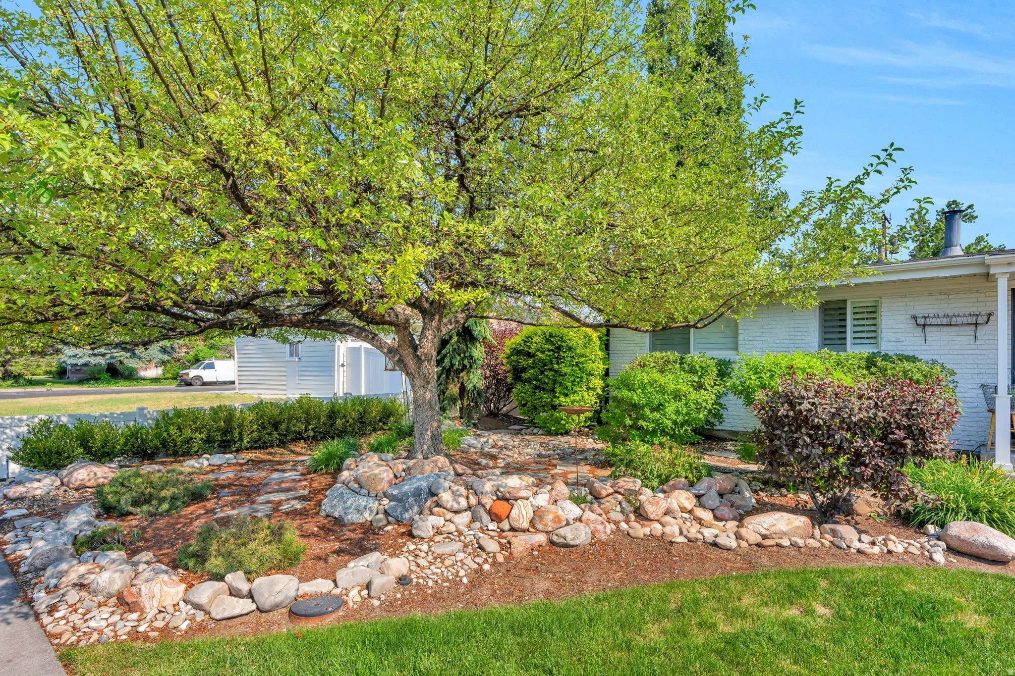 Mature tree anchoring a rock garden landscaping feature