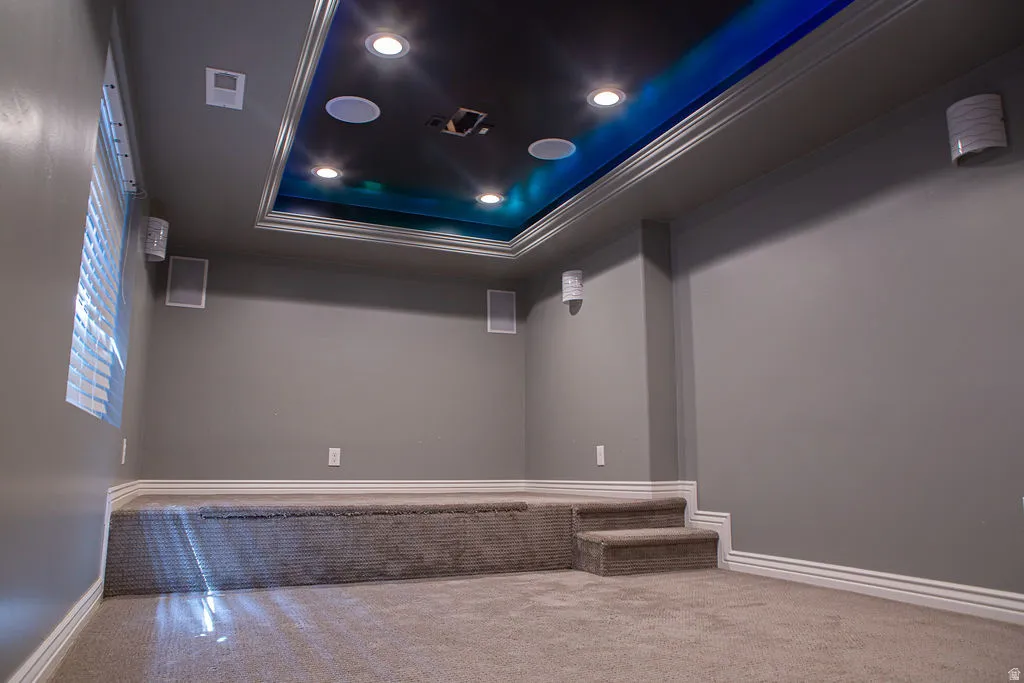 Dedicated media room featuring a tiered viewing platform and plush carpet flooring