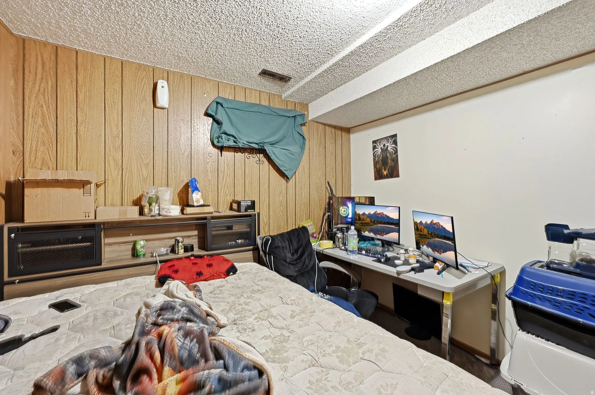Image quality insufficient for description