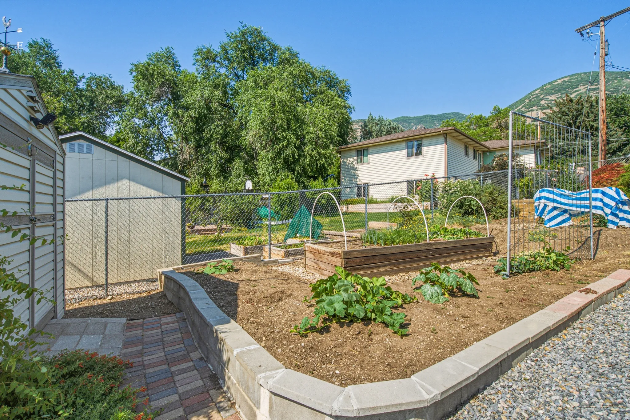 Expansive backyard featuring multiple raised garden beds, a chain-link fence, and a storage shed with vinyl siding