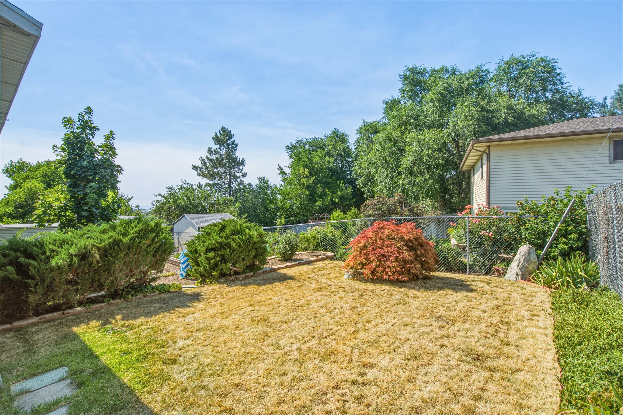 Expansive backyard featuring a chain-link fence, mature trees, and a garden shed