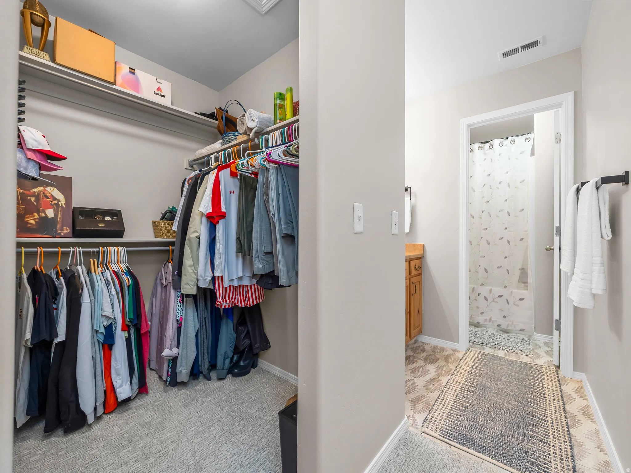 Walk-in closet with carpet flooring and shelving system