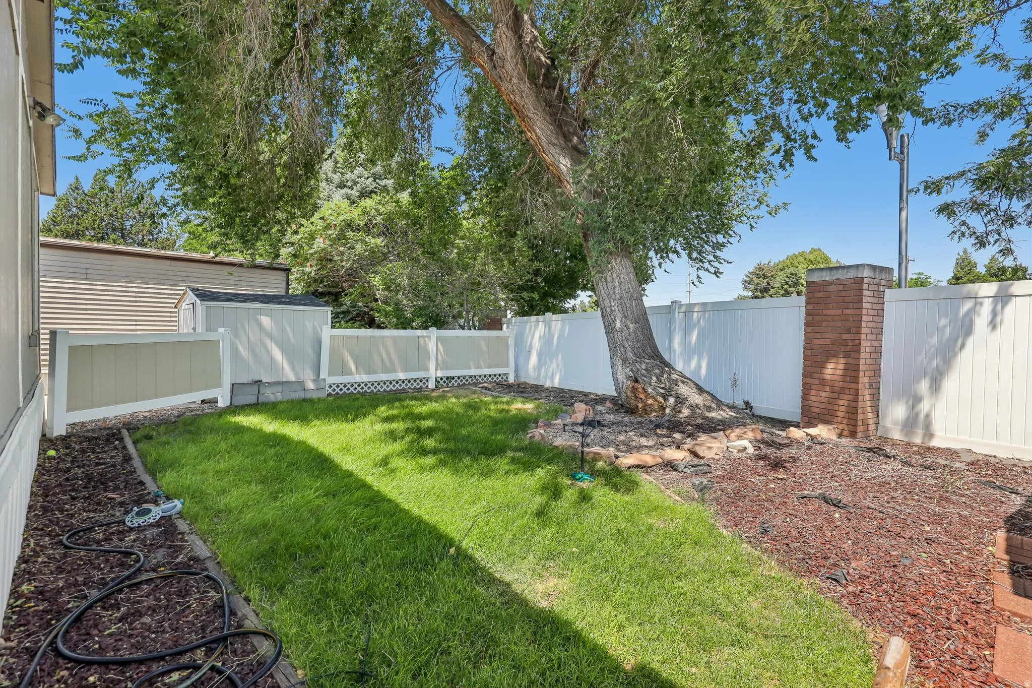 Expansive backyard featuring a manicured lawn, established trees, and a privacy fence