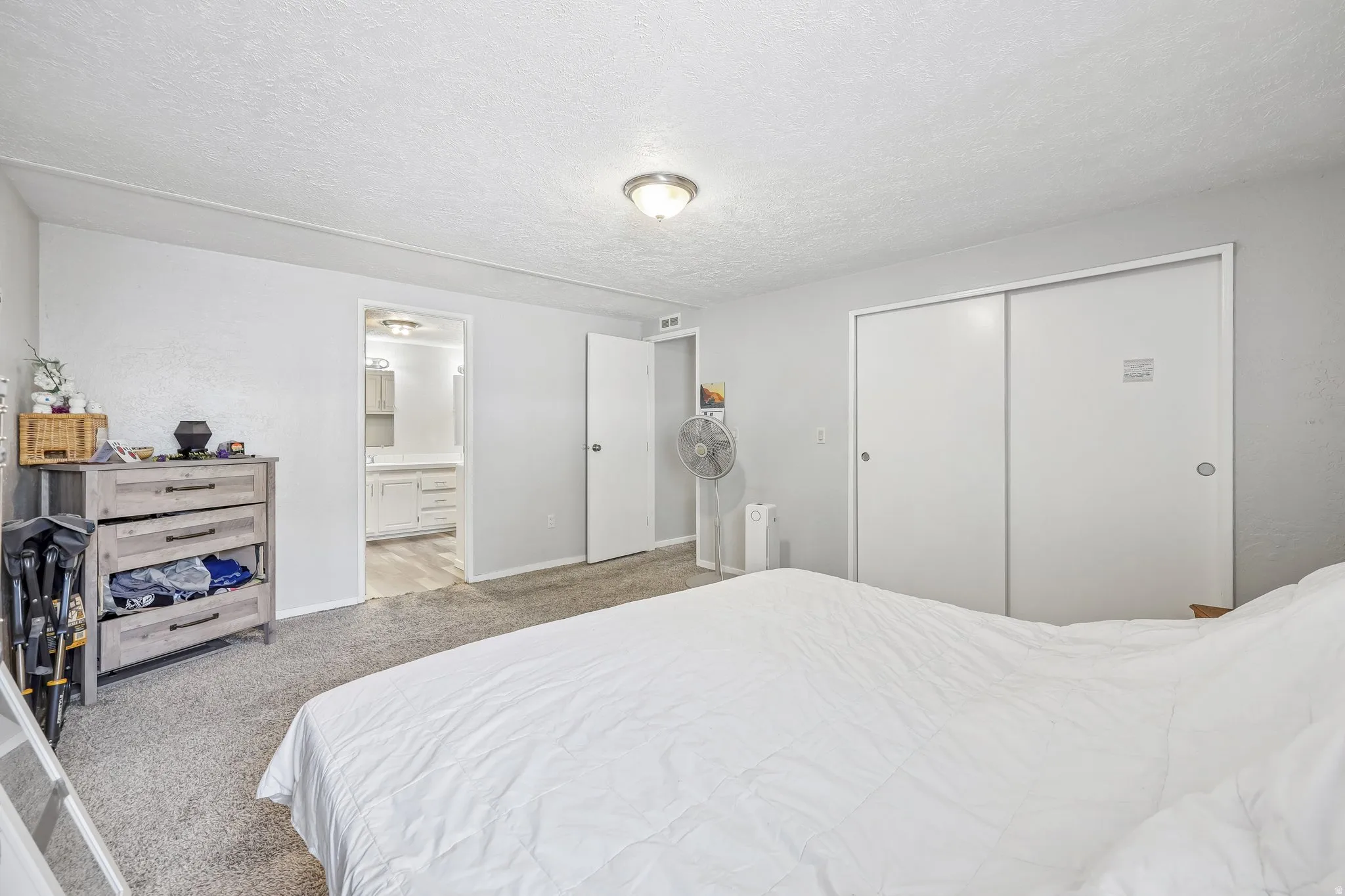 Carpeted room with light gray walls, a flush-mount ceiling light, and sliding closet doors