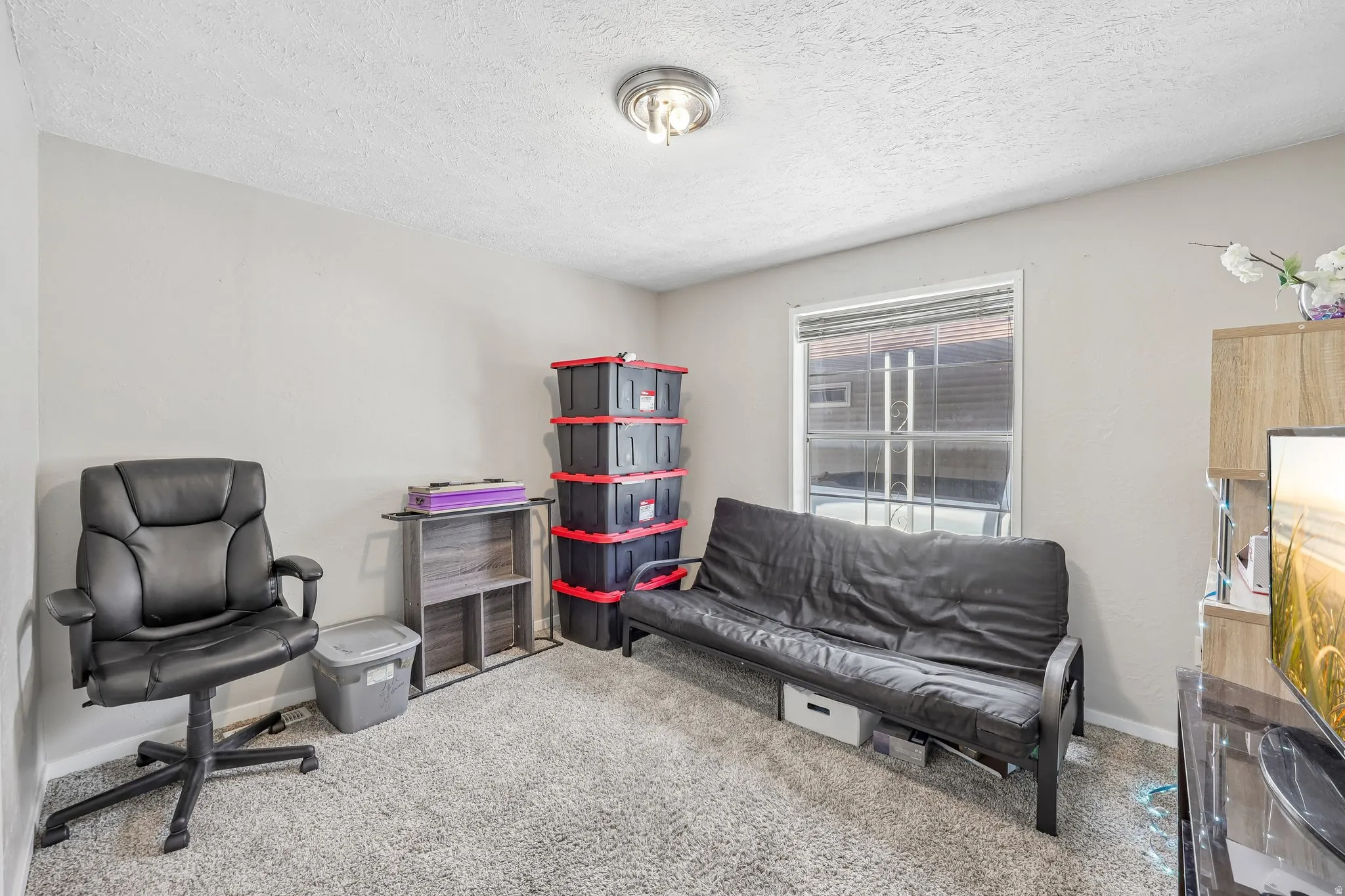 Carpeted room with a single window, light gray walls, and a ceiling-mounted light fixture