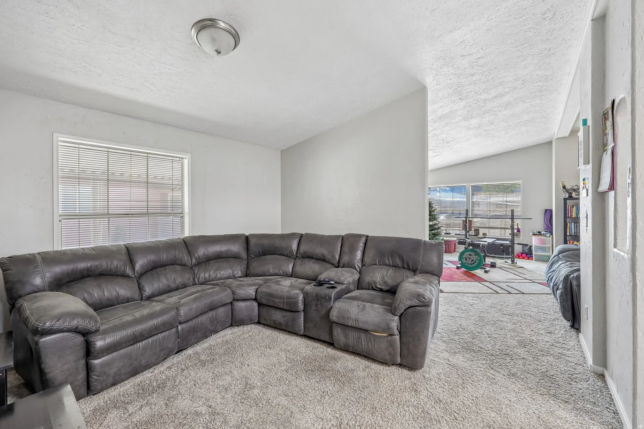 Carpeted living area with light gray walls, a window featuring horizontal blinds, and a semi-flush mount ceiling light fixture
