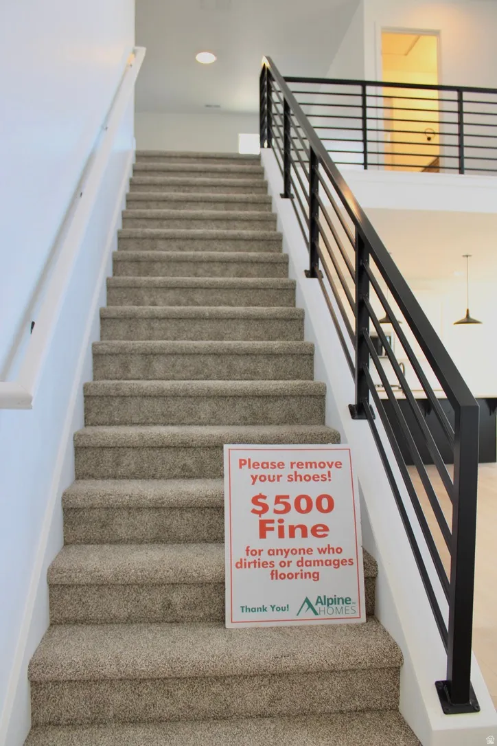 Carpeted staircase with contemporary black metal horizontal railing