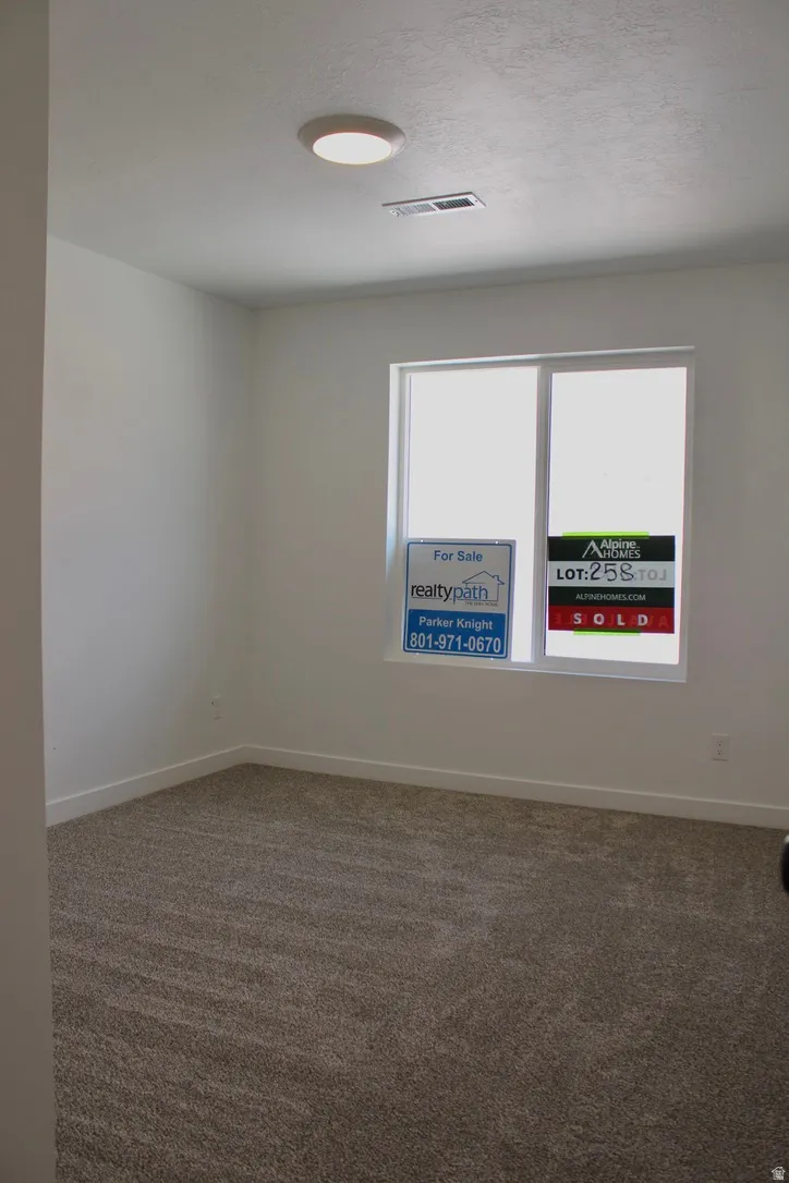Bright room with plush, textured carpeting and a single window featuring a white frame