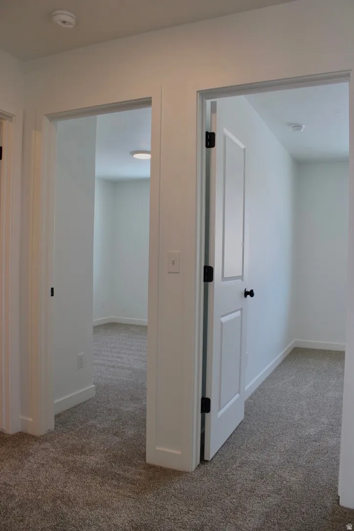 Hallway with light gray carpeting, white trim, and white paneled doors with black hardware