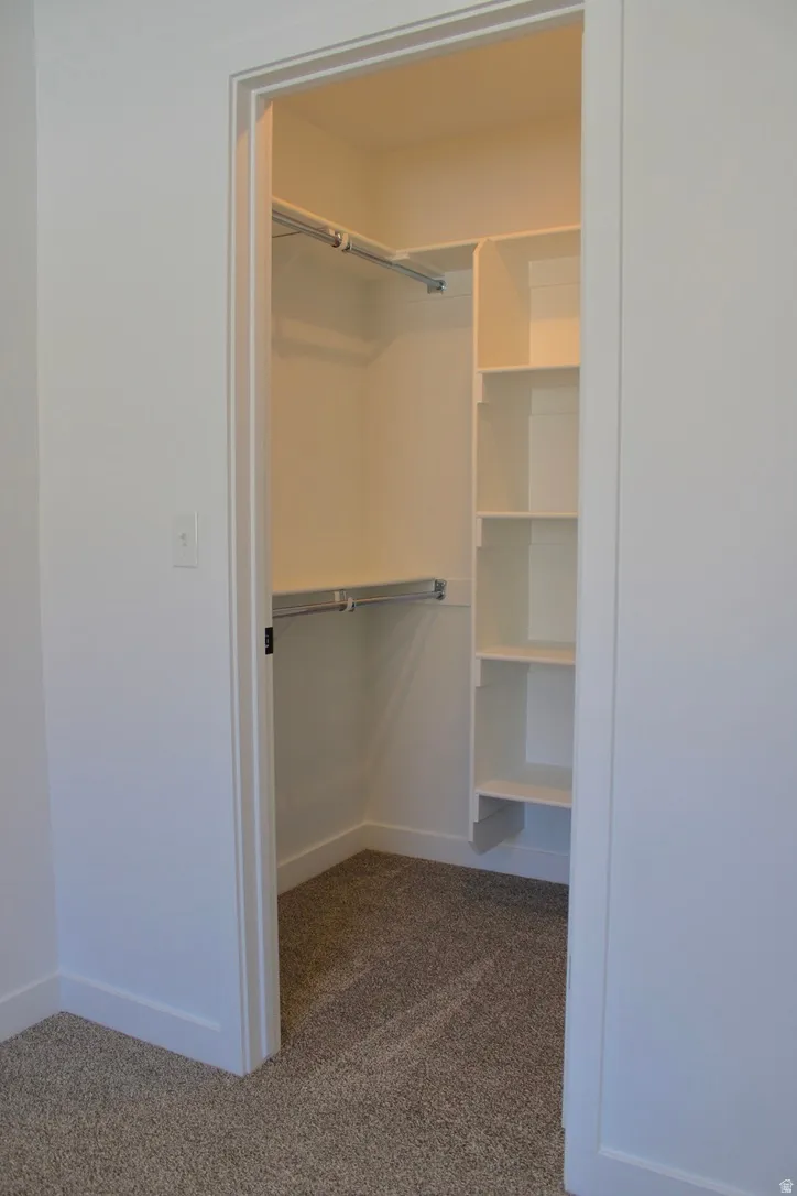 Walk-in closet featuring built-in shelving, dual hanging rods, and carpet flooring
