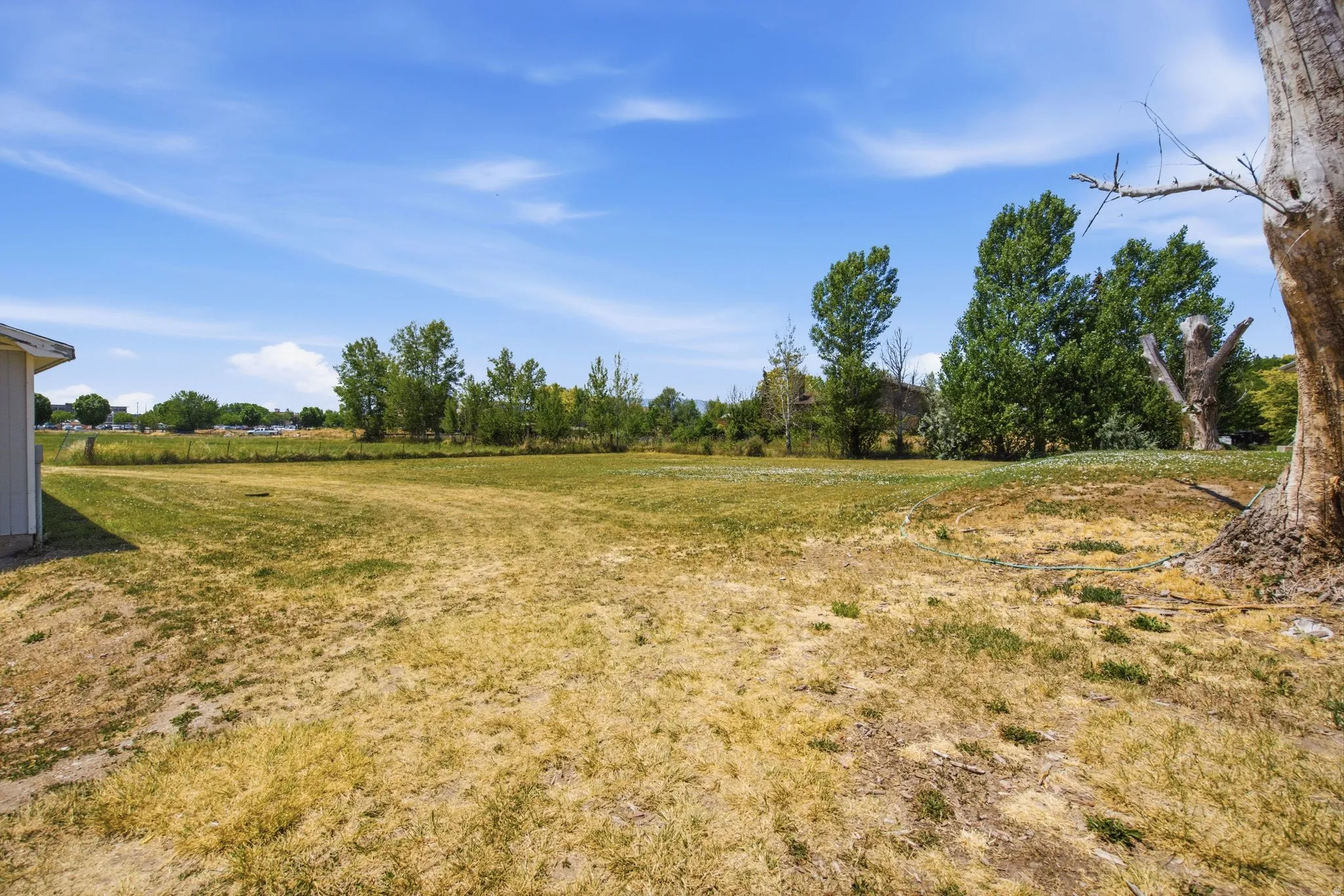 Expansive outdoor space featuring a large grassy area, distant mature trees, and a clear blue sky