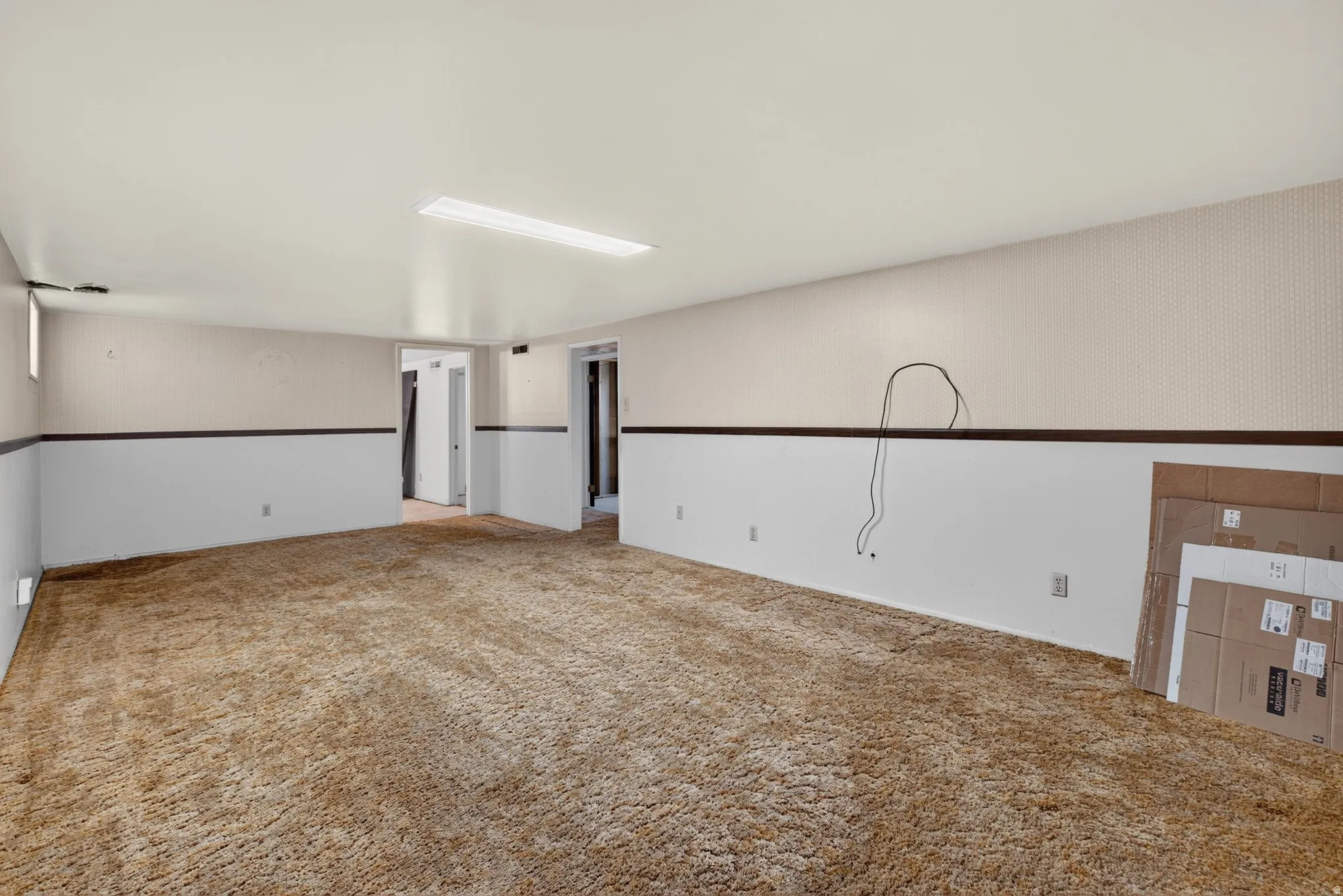 Spacious room featuring broadloom carpet, overhead fluorescent lighting, and white walls with a dark accent trim