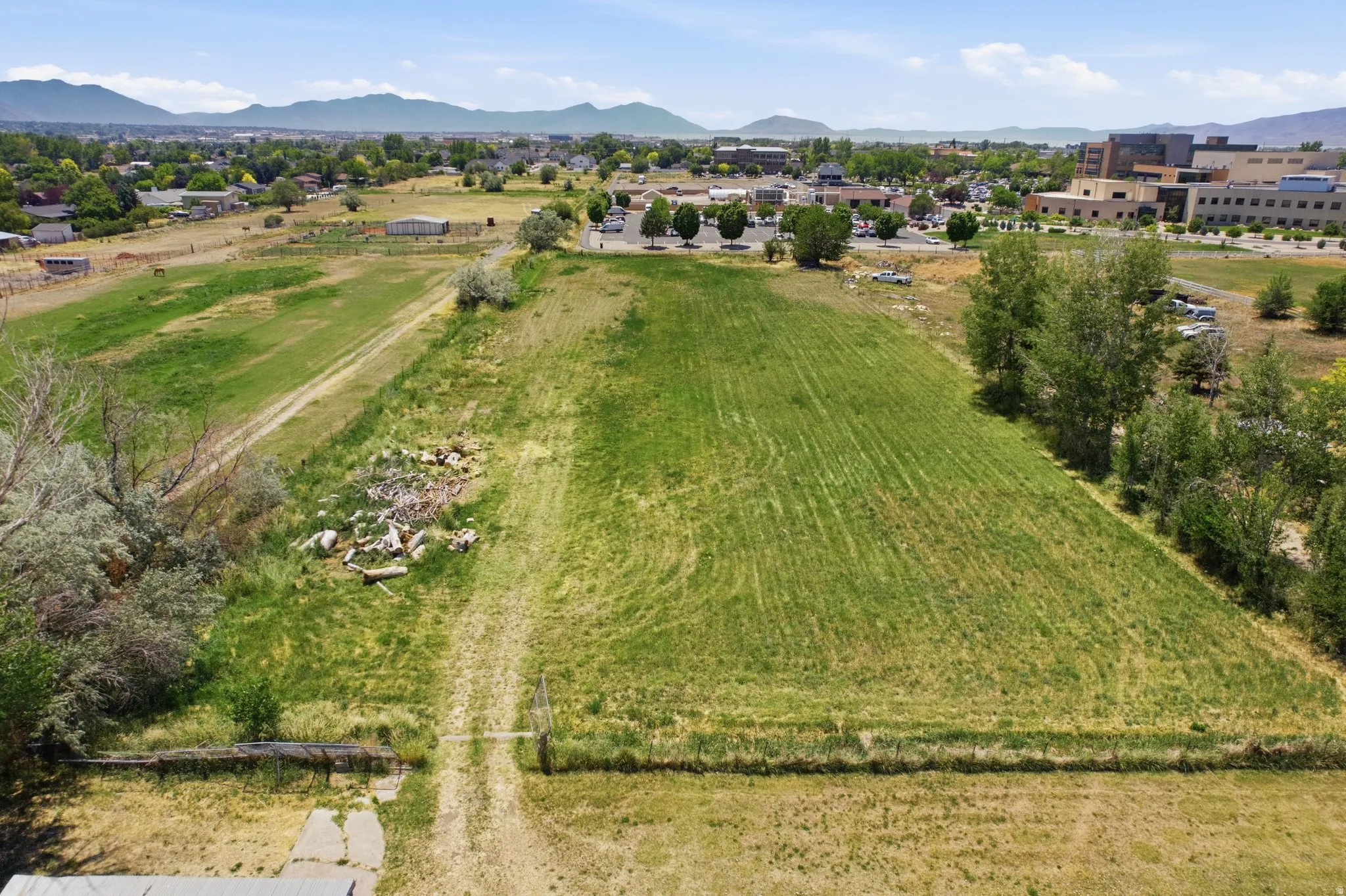 Expansive green parcel with a perimeter of mature trees