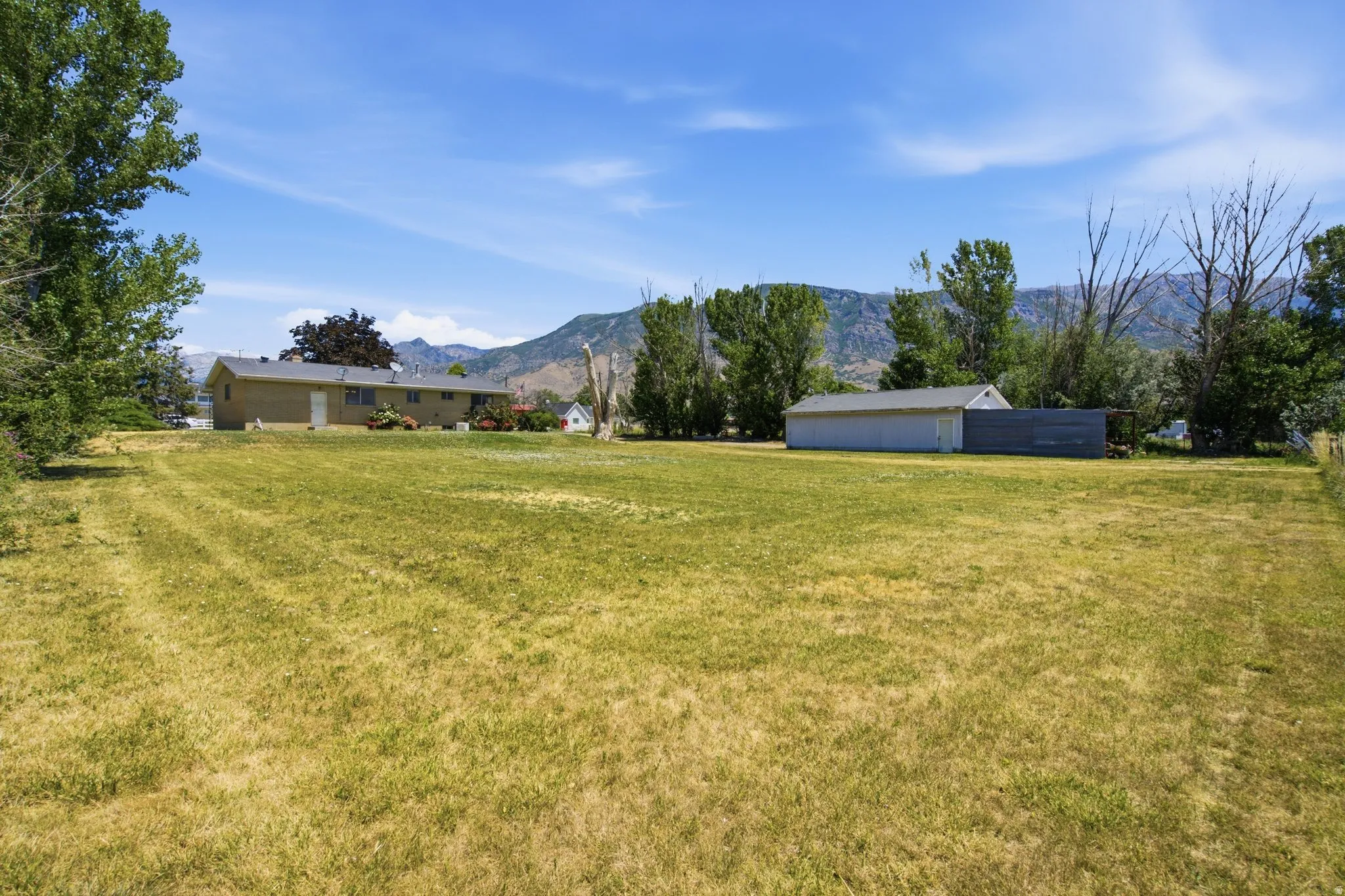 Expansive grassy outdoor space with a detached shed and a single-story residence in the background