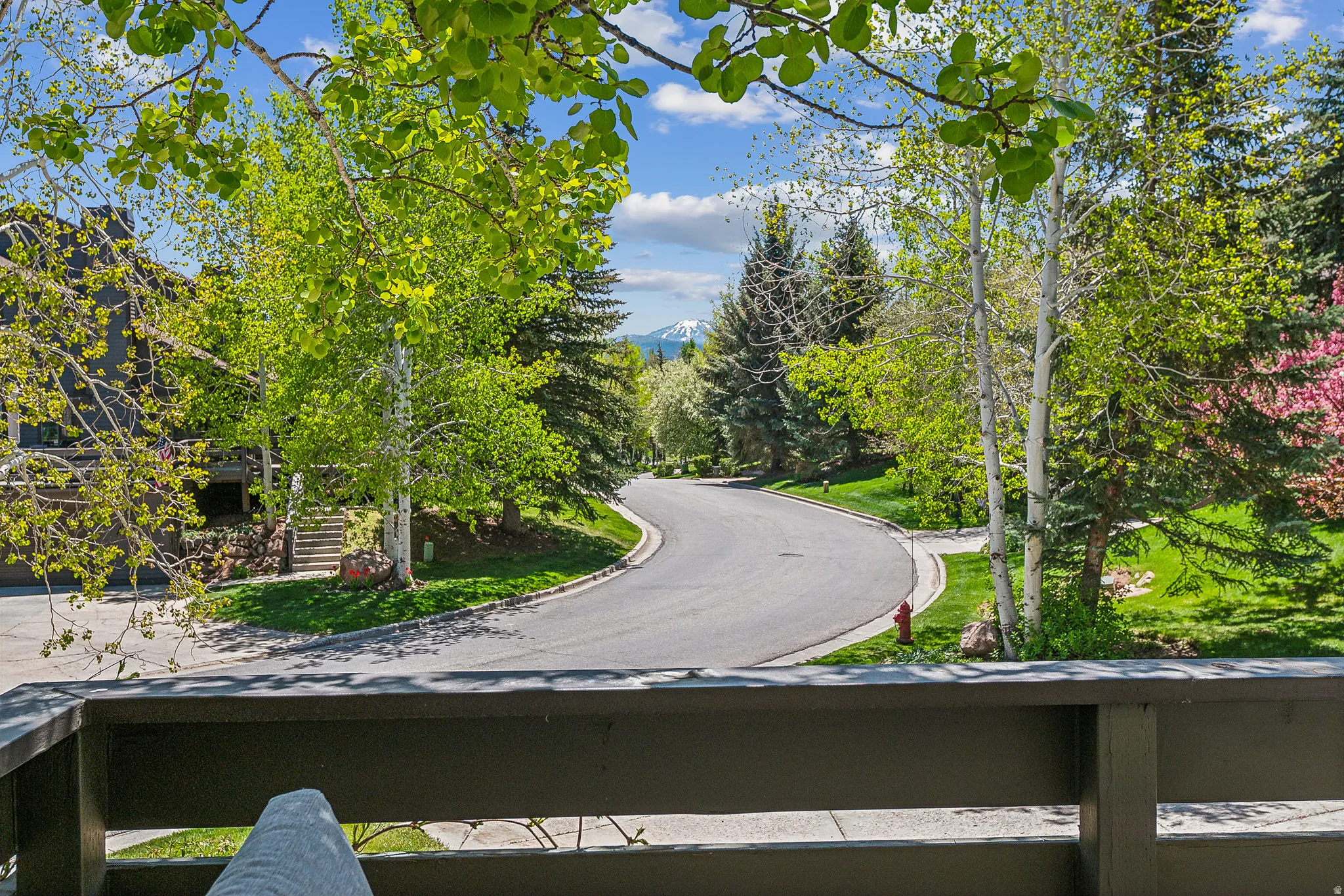 Expansive outdoor balcony featuring a dark wood railing, overlooking a paved street