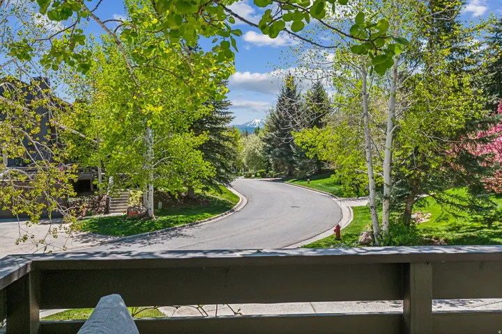 Expansive outdoor balcony featuring a dark wood railing, overlooking a paved street