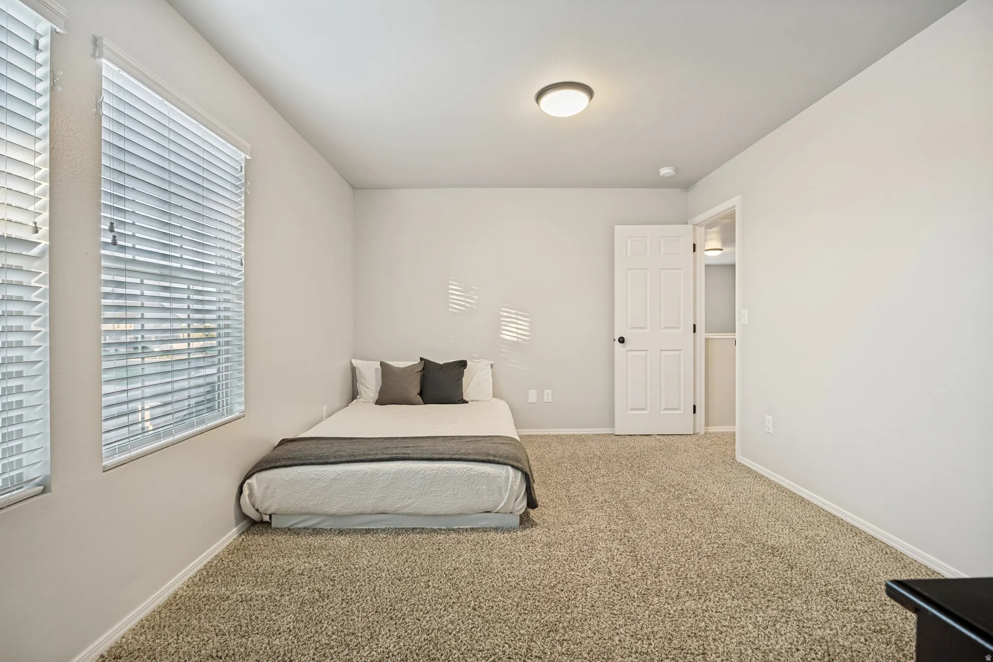 Carpeted room featuring two window units with blinds, a solid interior door with a paneled design and black hardware, and a ceiling-mounted light fixture
