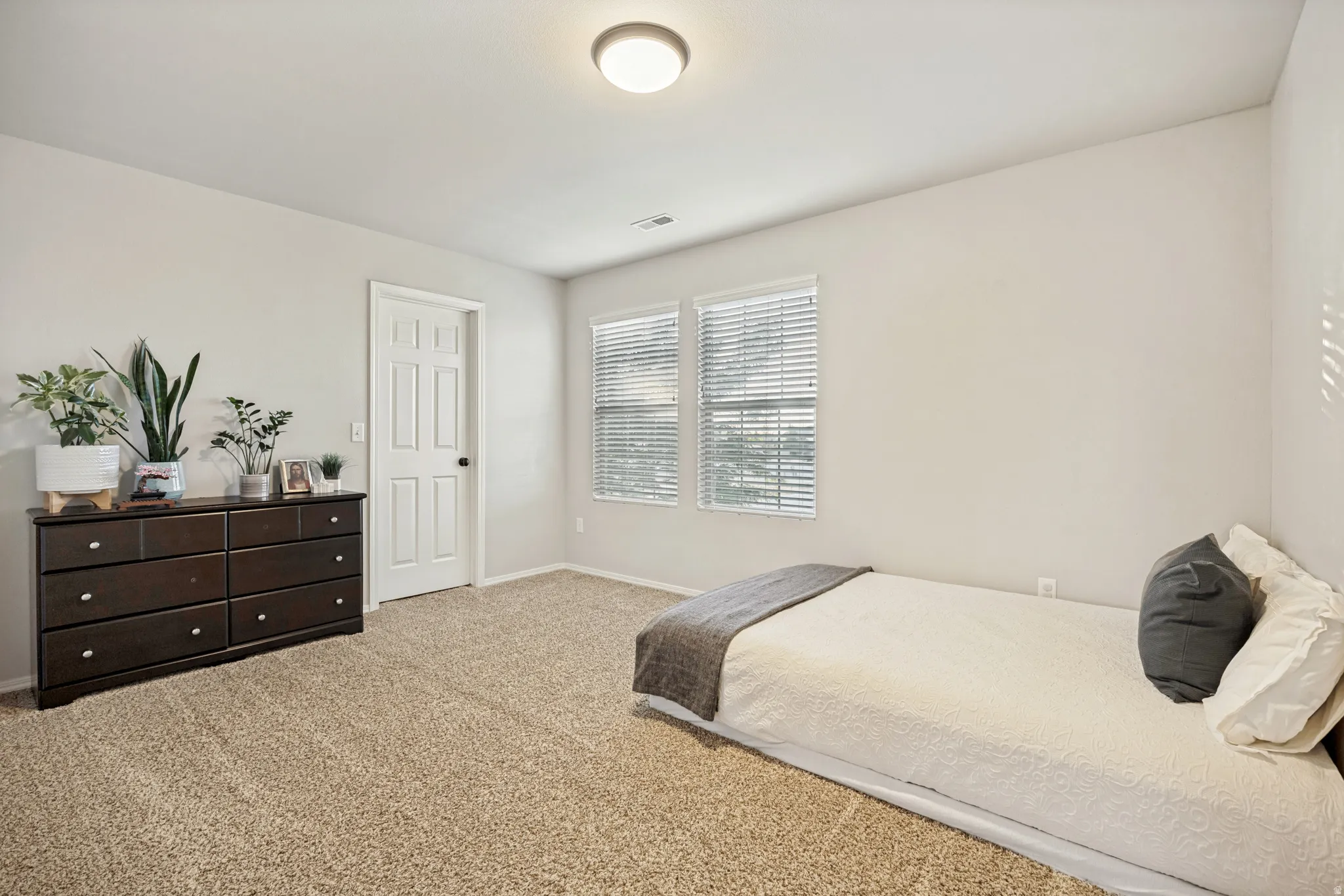 Carpeted interior space featuring light neutral wall paint, two windows with blinds, a white paneled door with black hardware, and a ceiling-mounted light fixture
