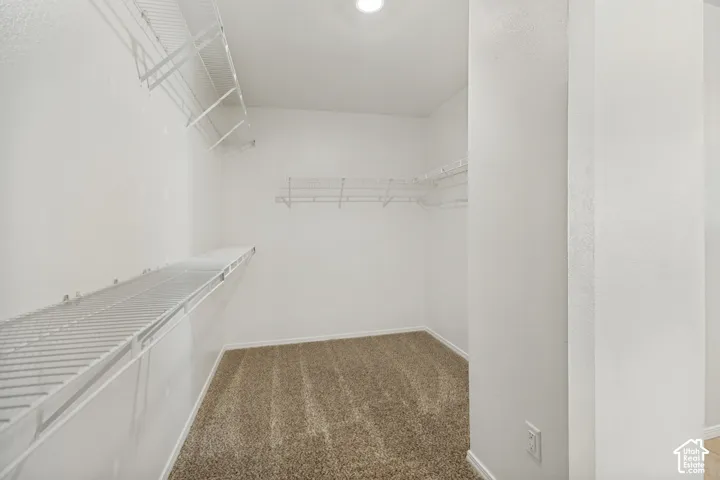 Recessed lighting illuminates a carpeted closet with wire shelving and hanging rods