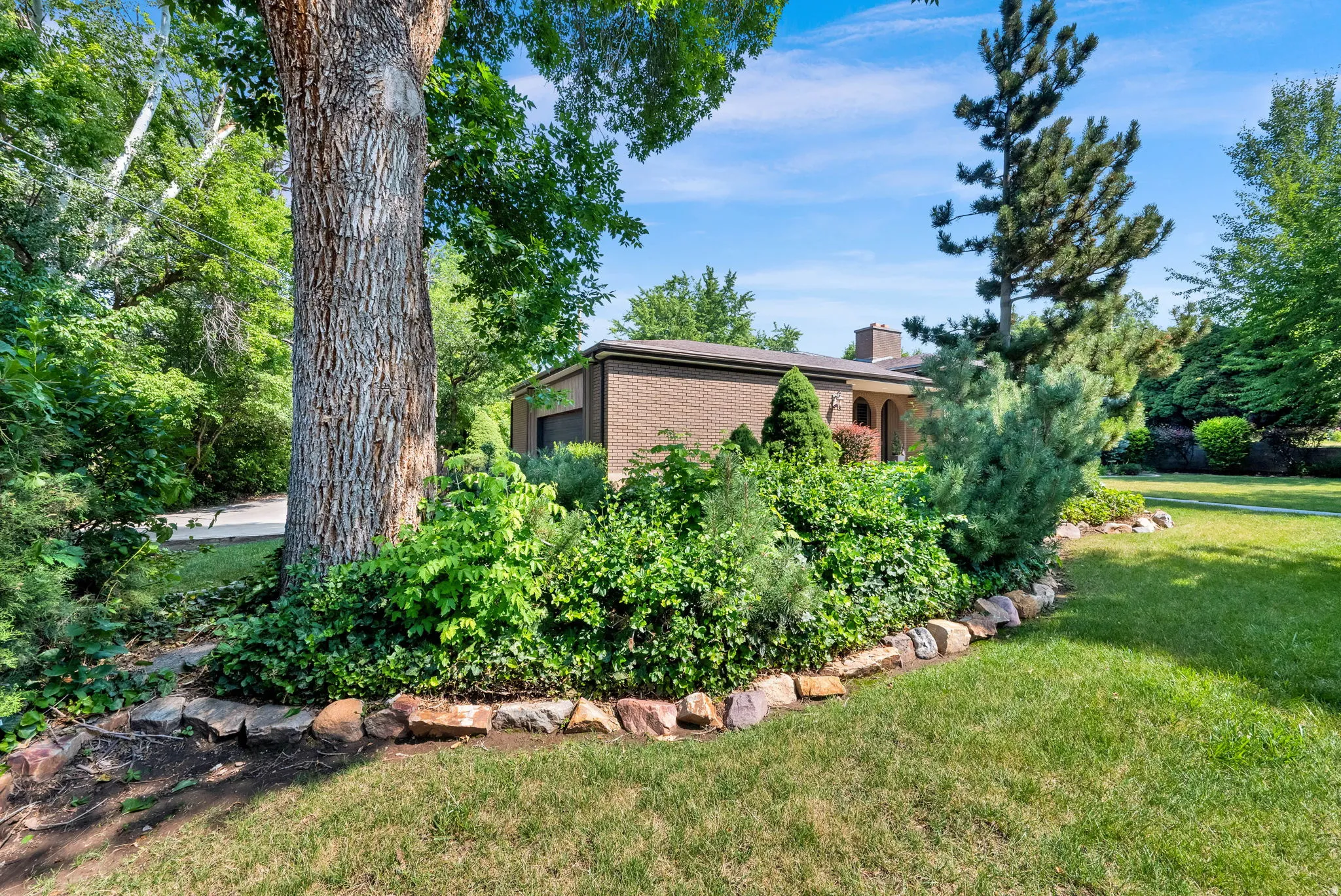 Mature trees providing shade and privacy