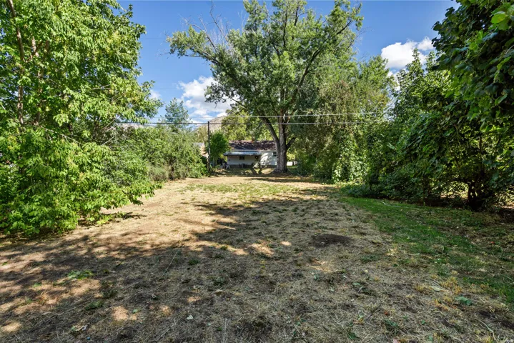 Expansive outdoor space featuring a large grassy area, mature trees, and surrounding foliage