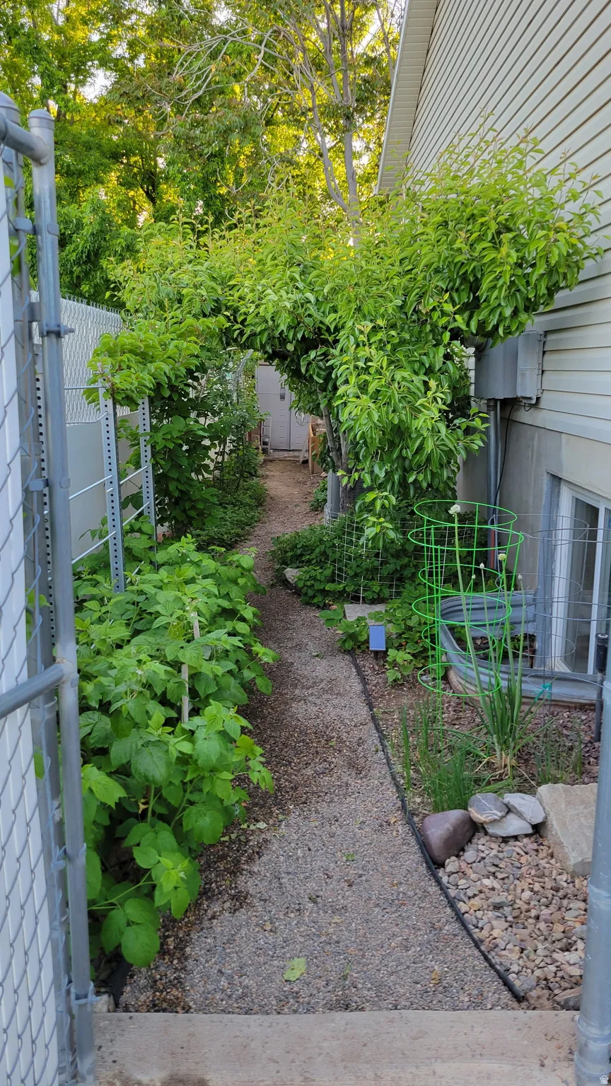 Gravel pathway bordered by mature green foliage, leading to a secluded garden area