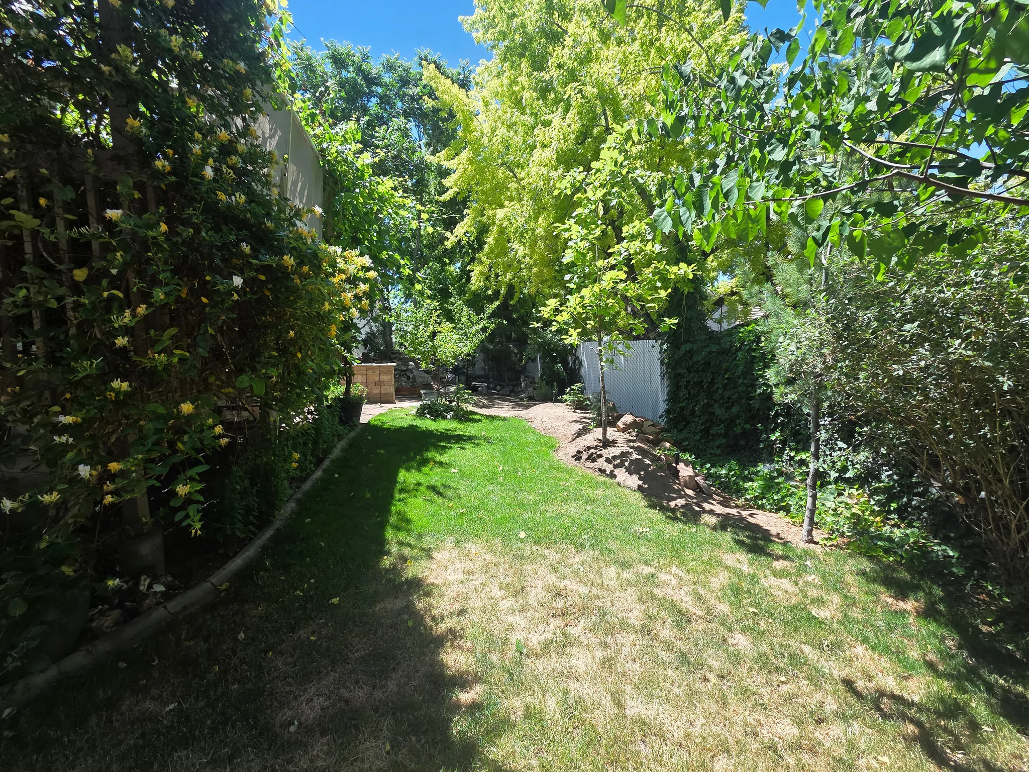 Expansive lawn area bordered by mature trees and established plantings