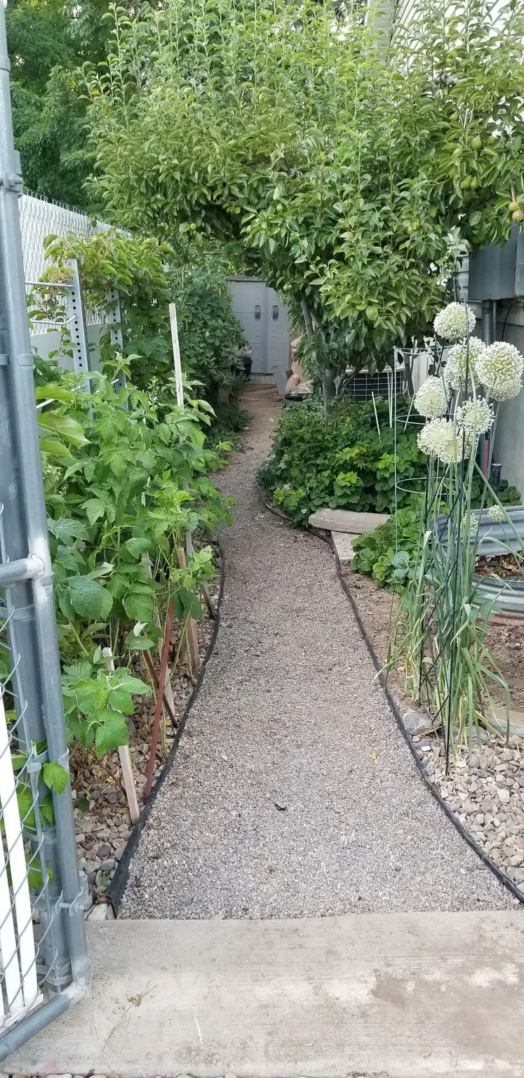 Gravel pathway bordered by established garden beds and mature trees