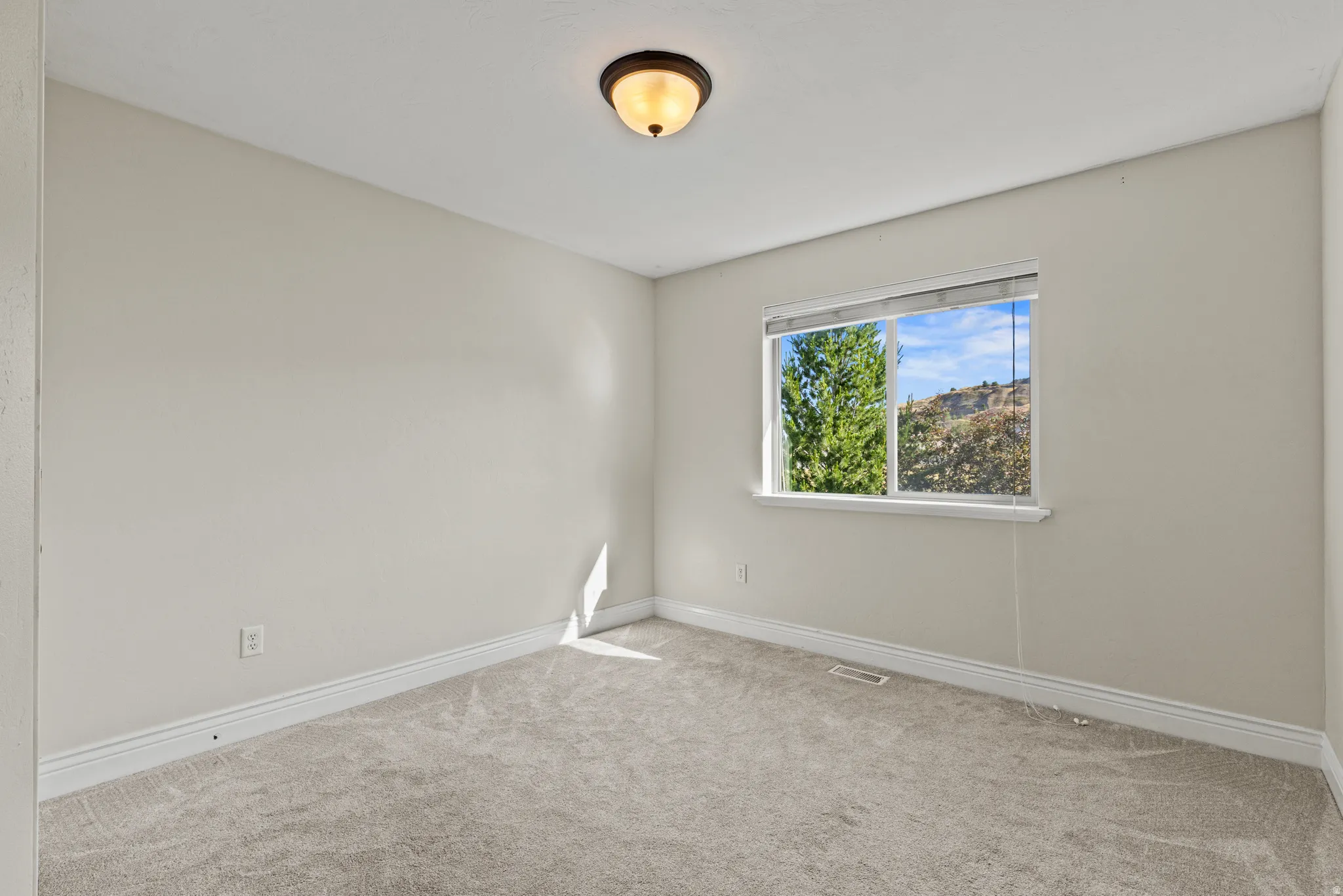 Light-filled room featuring neutral wall tones and plush carpeting