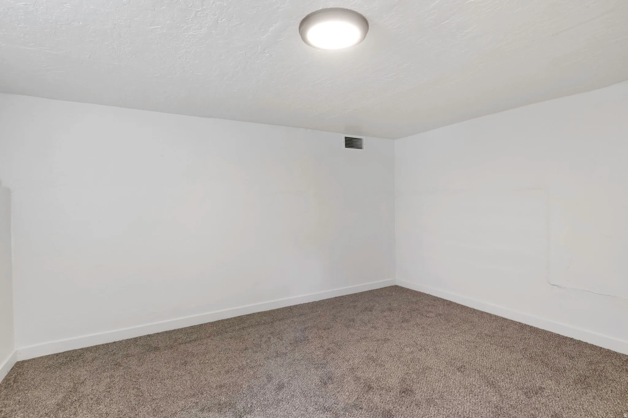 Neutral wall palette with textured ceiling, flush-mount lighting, and carpet flooring