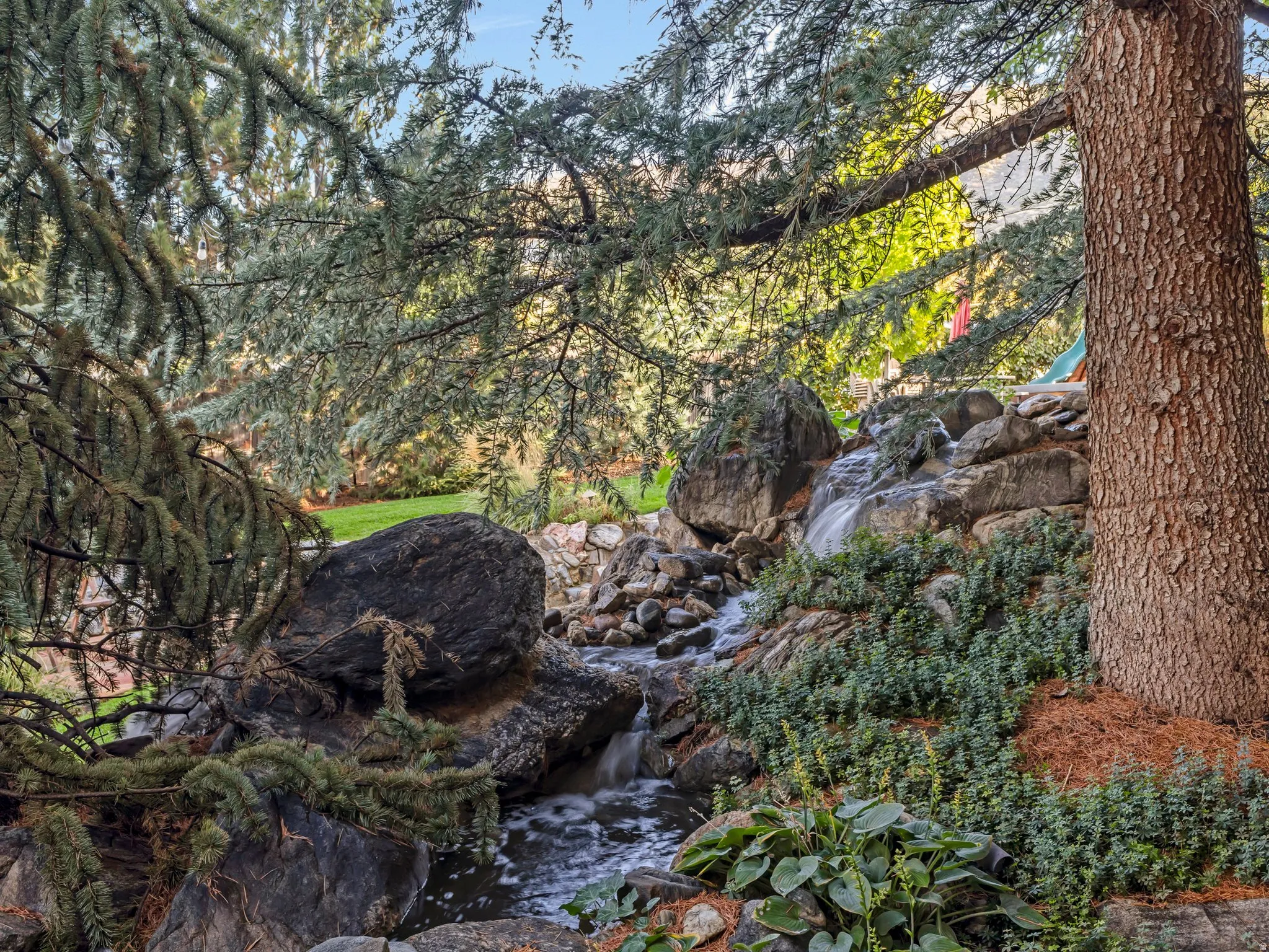 Backyard water feature with rock landscaping, lush greenery, and mature trees
