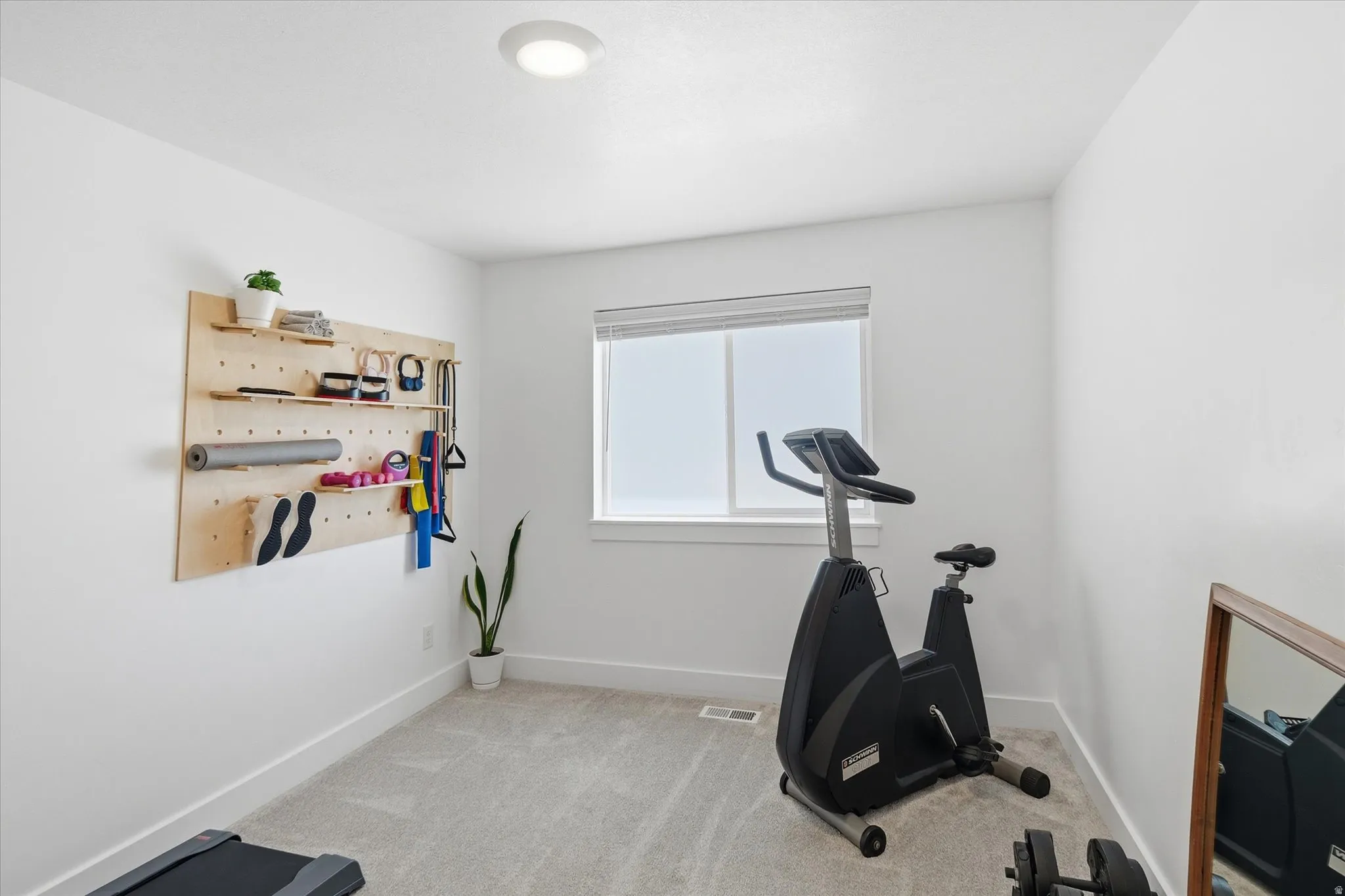 Carpeted interior space featuring a window with blinds, white walls, and a built-in pegboard organization system