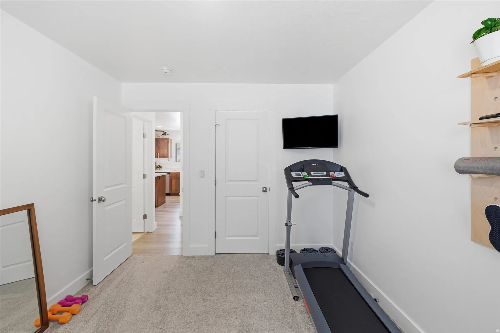 Carpeted room with white walls, featuring two paneled doors and a wall-mounted television