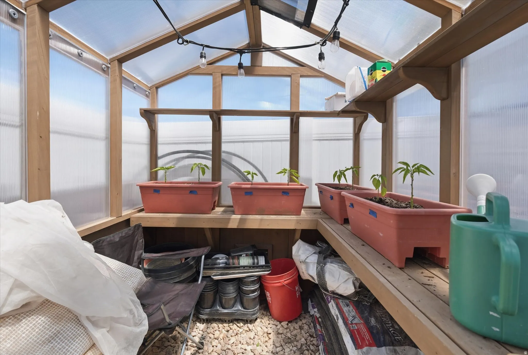 Greenhouse with wood framing and clear corrugated paneling
