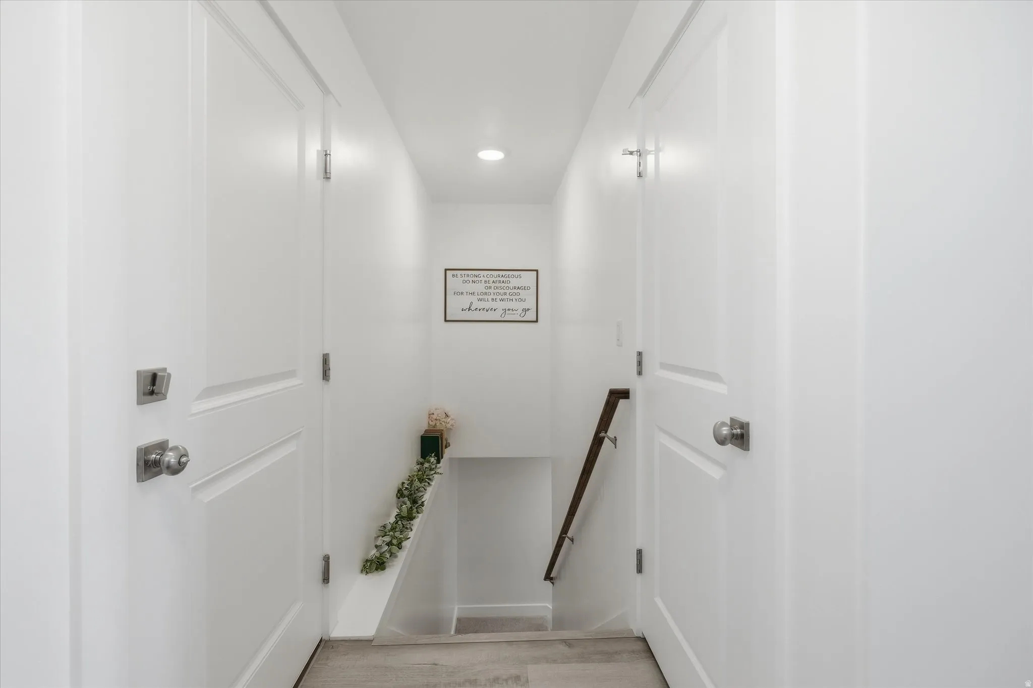 Foyer with two white paneled doors featuring silver-toned hardware, light wood-finish flooring, and recessed ceiling lighting