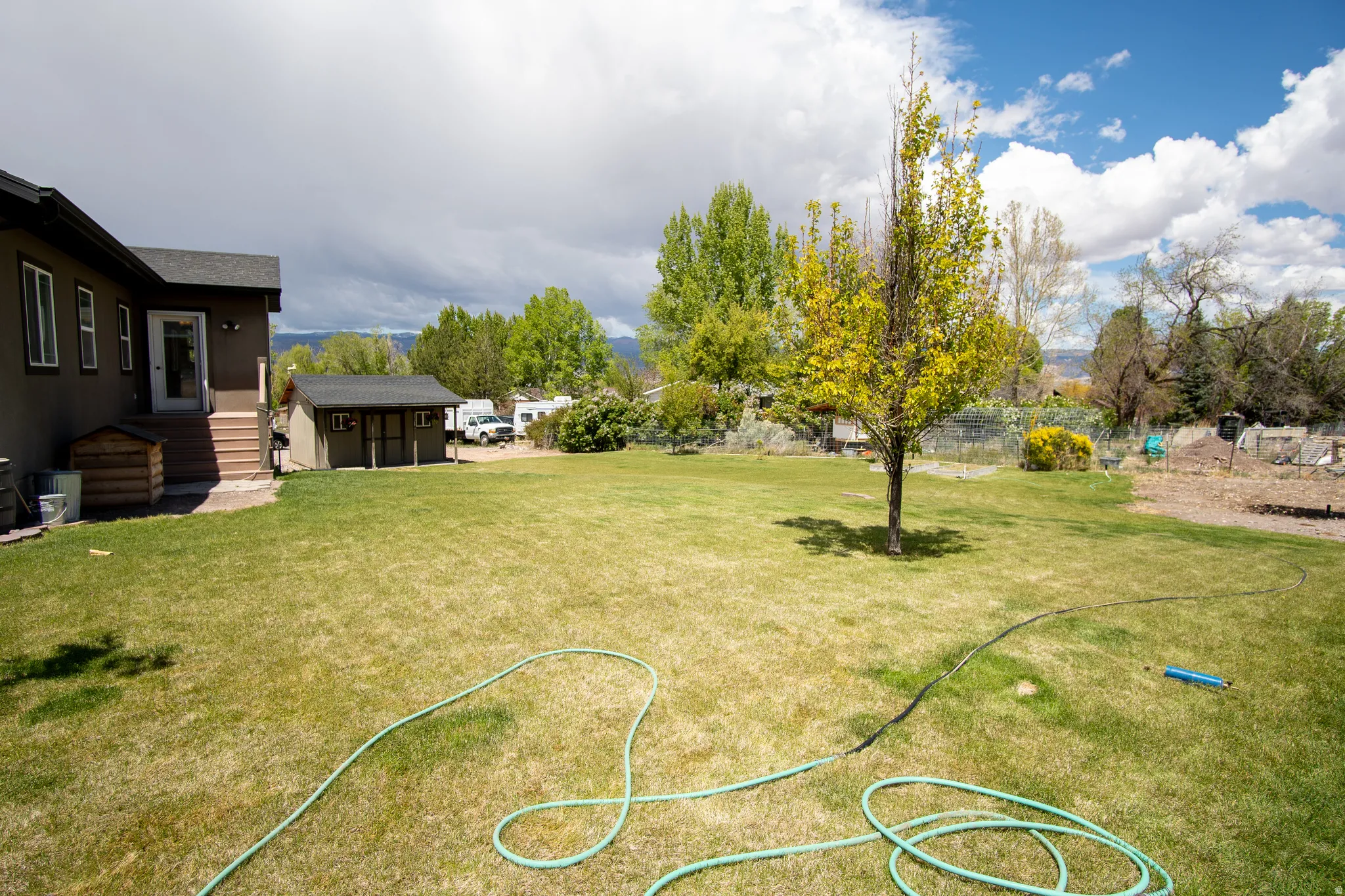 Expansive rear yard featuring a manicured lawn, established tree, and a detached shed