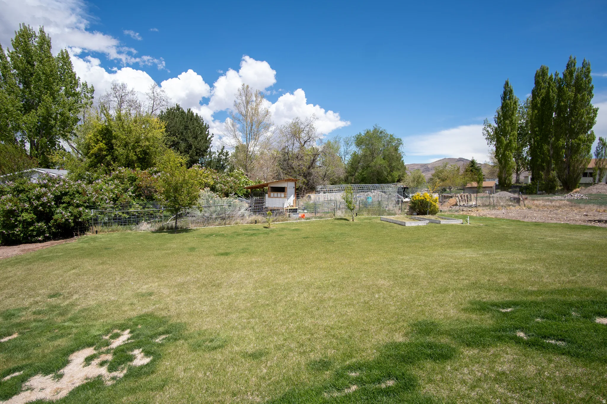 Expansive green lawn with mature trees and a rustic shed