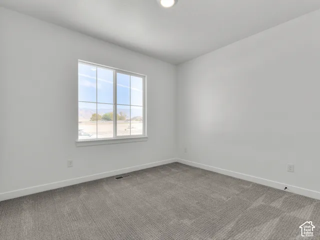 Neutral-toned wall-to-wall carpeting, window with grid panes, and mountain scenery