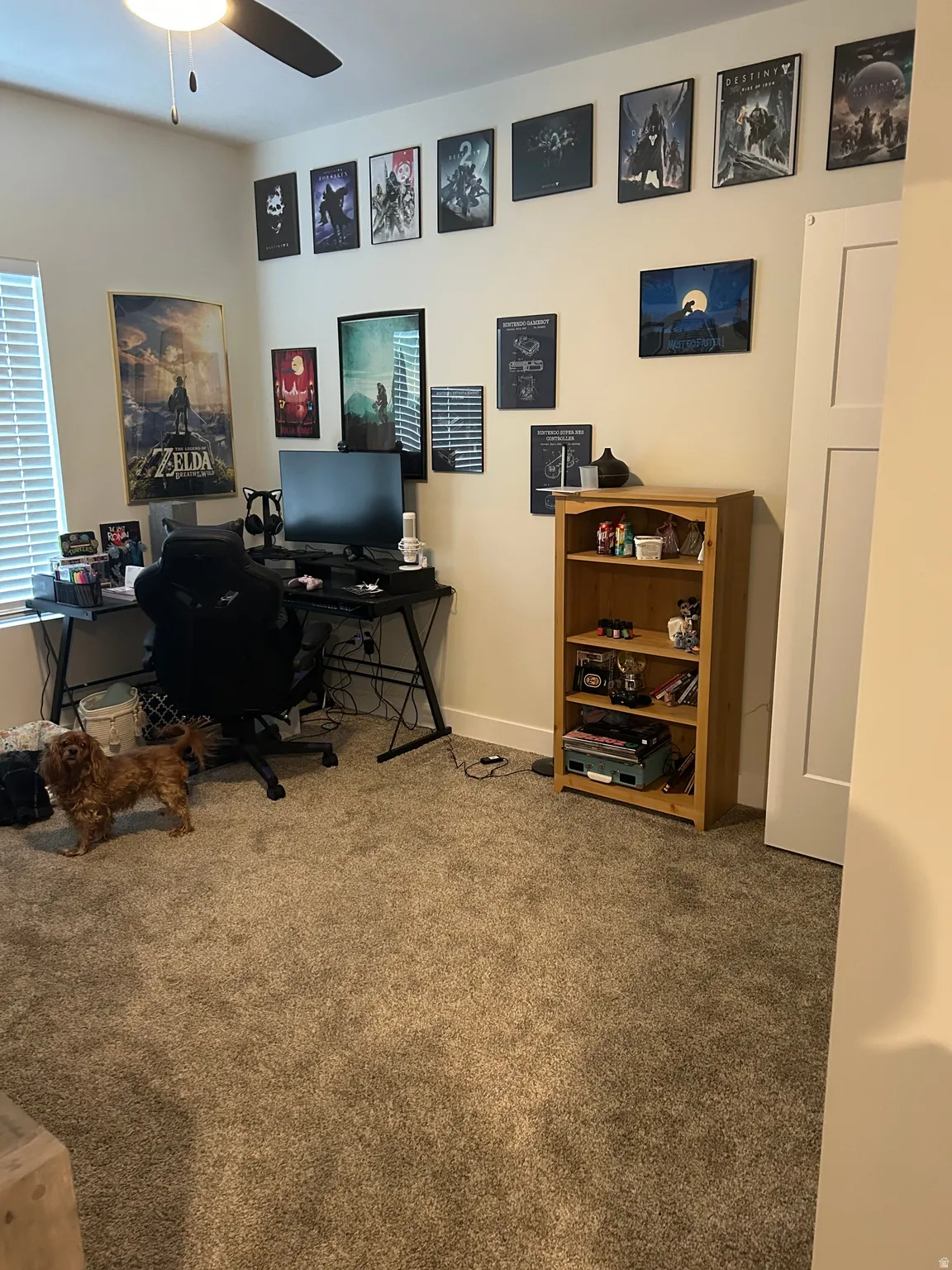 Carpeted room featuring a ceiling fan, a window with horizontal blinds, and a built-in closet with a white door