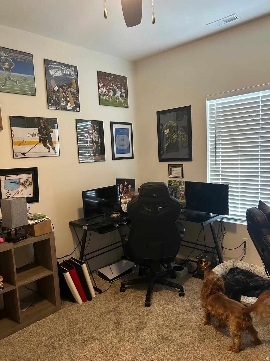 Carpeted room featuring a ceiling fan with integrated lighting, a window with horizontal blinds, and light-toned wall paint