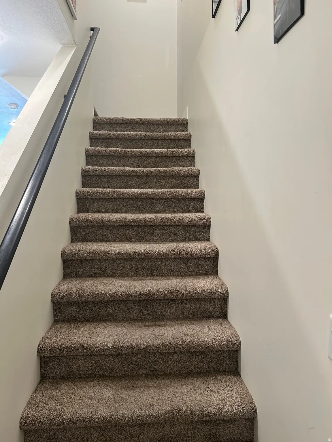 Carpeted staircase featuring a black metal handrail and light-toned walls