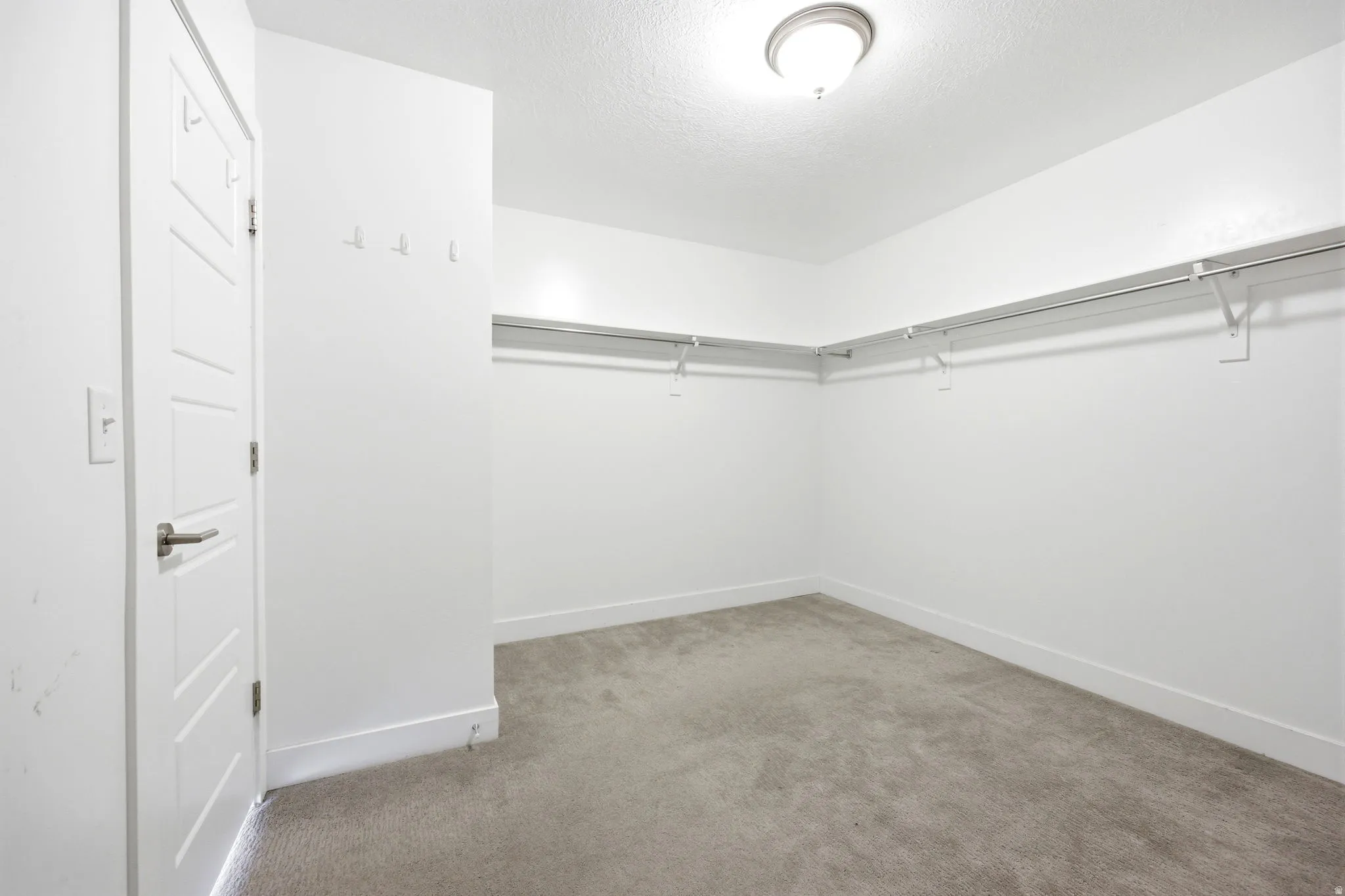 Spacious walk-in closet featuring extensive built-in shelving and hanging rods, plush carpet flooring, a flush-mount ceiling light, and modern baseboards
