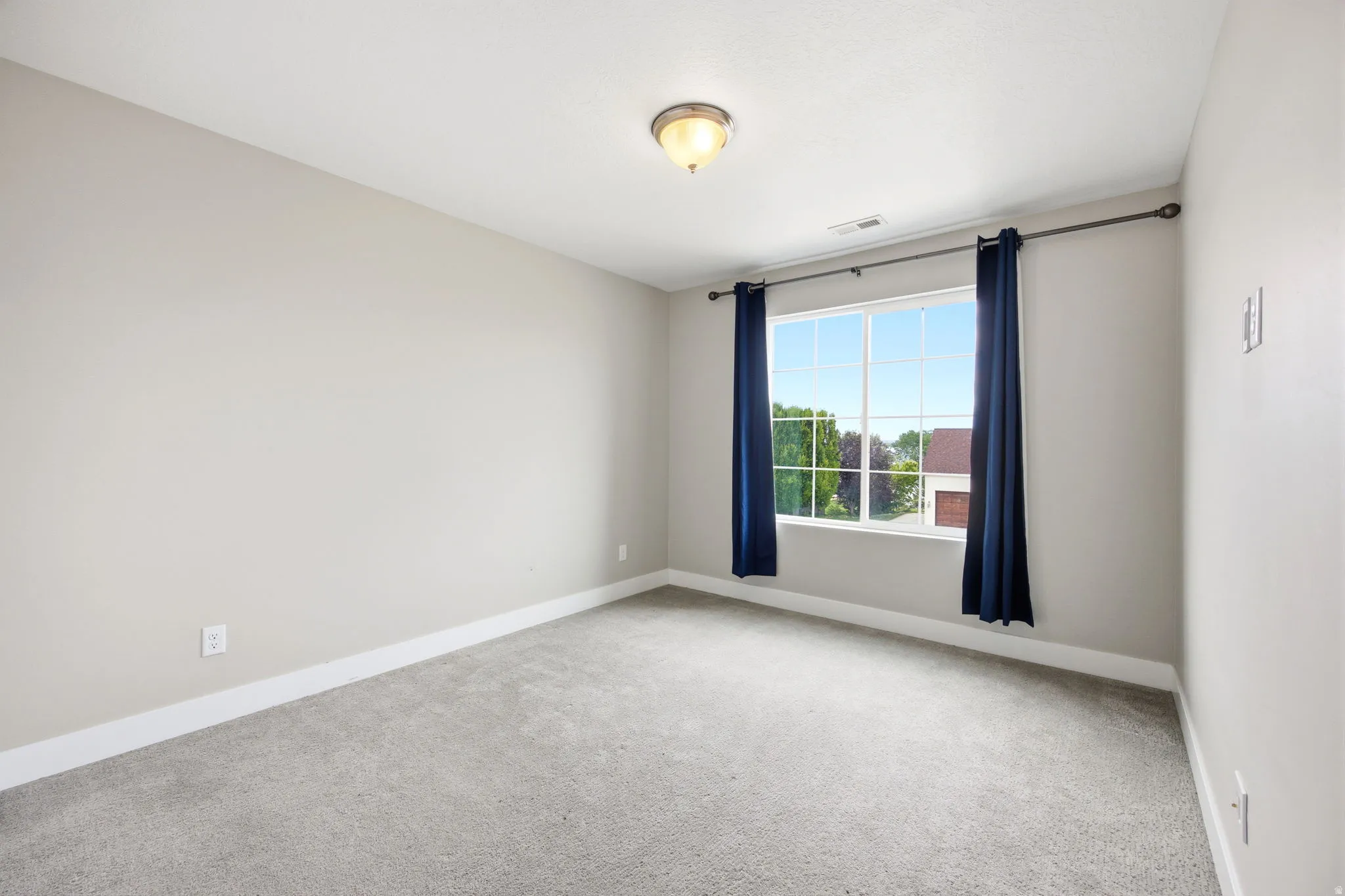 Carpeted room featuring a large window with white muntins, light gray painted walls, white baseboards, and a semi-flush mount ceiling light