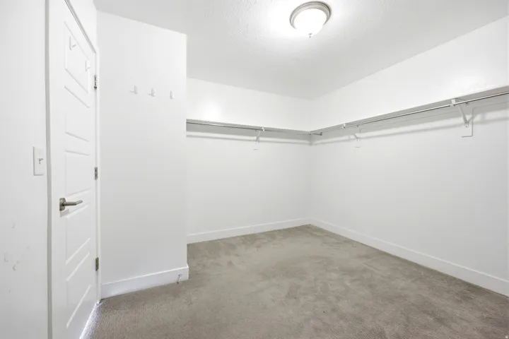 Spacious walk-in closet featuring extensive built-in shelving and hanging rods, plush carpet flooring, a flush-mount ceiling light, and modern baseboards