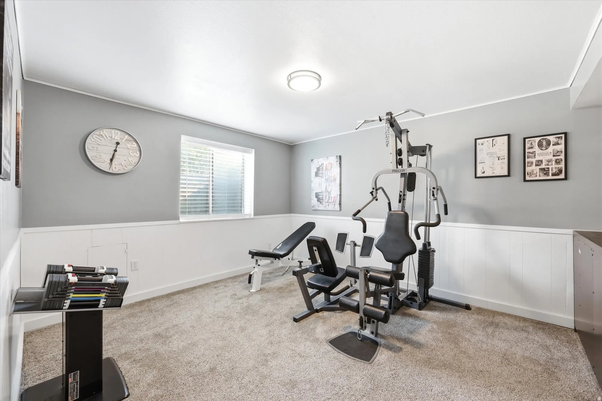 Carpeted room featuring light gray walls with white wainscoting, a flush-mount ceiling light, and a window with blinds