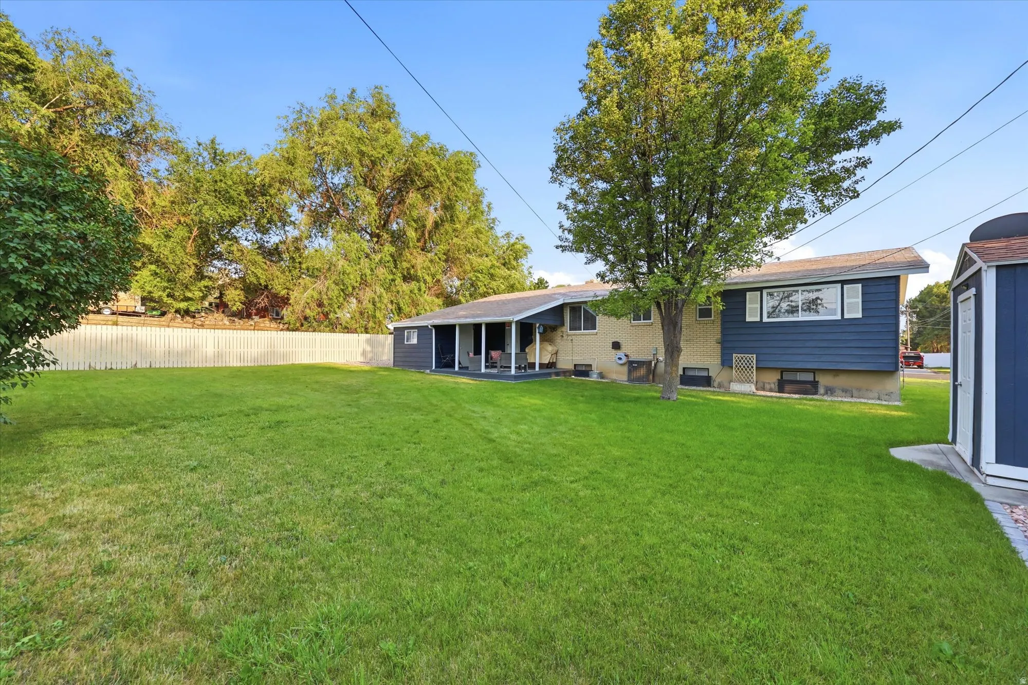 Expansive green lawn with mature trees and a white privacy fence