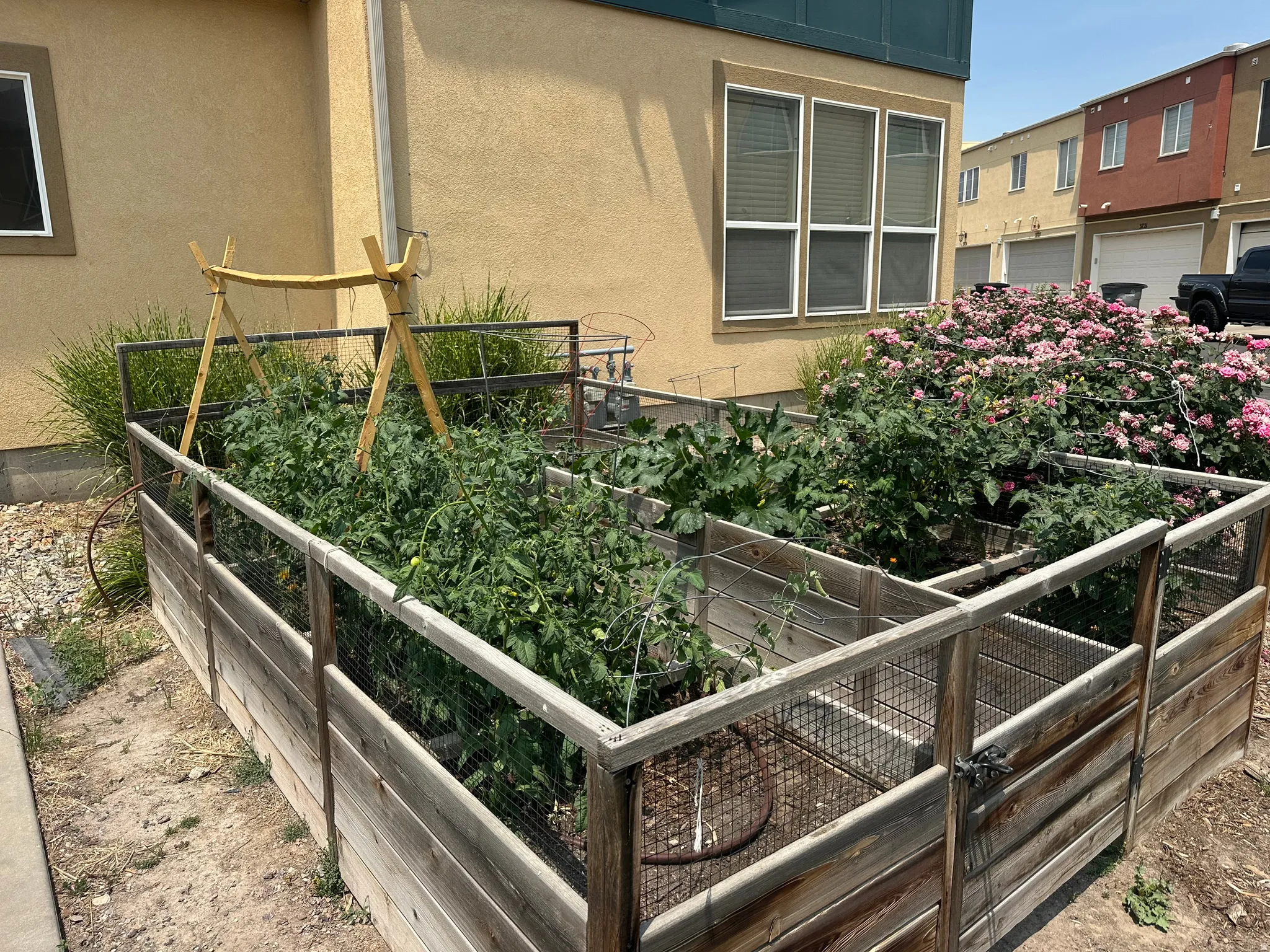 Raised garden beds featuring wood and wire construction