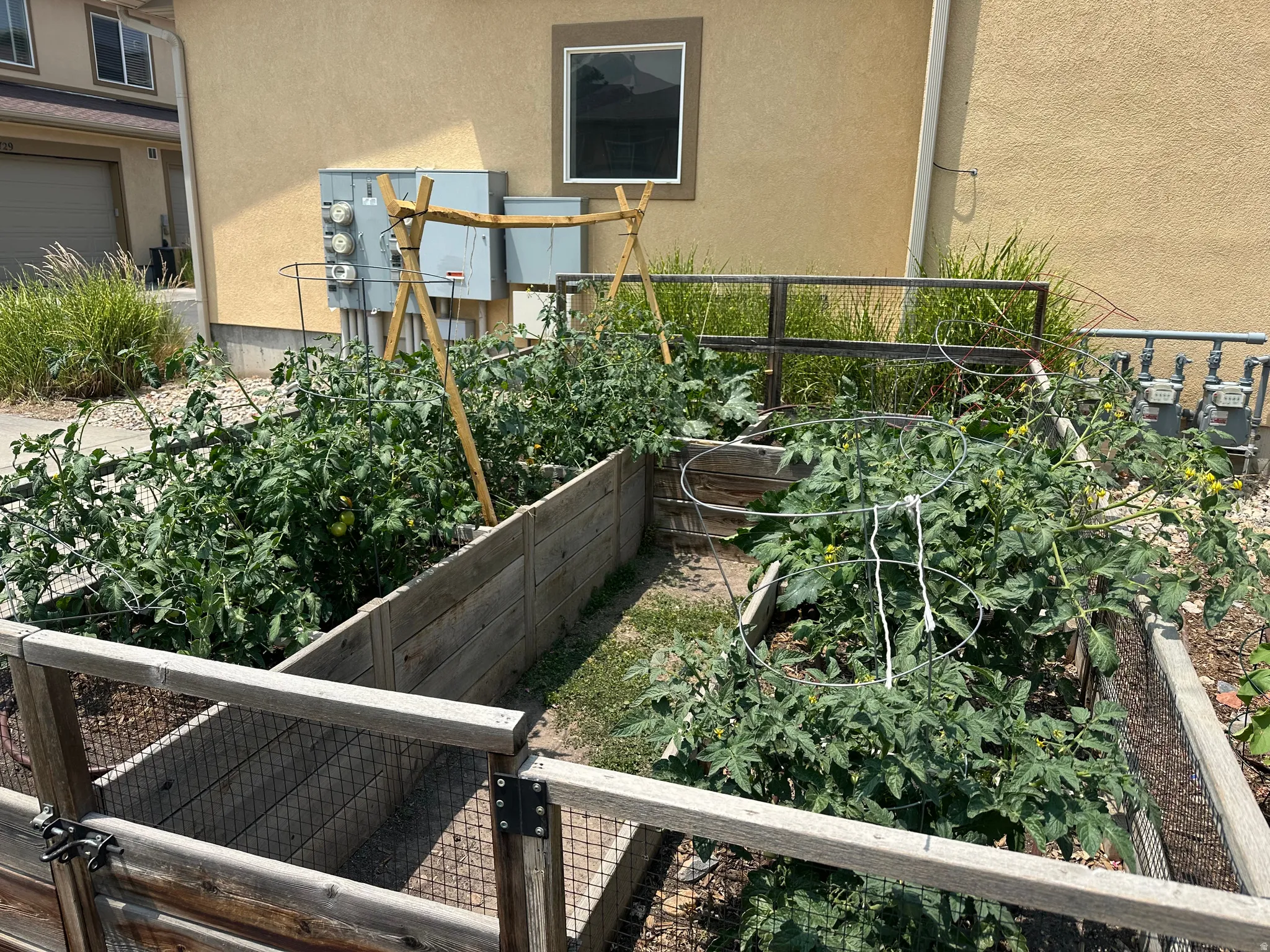 Wood-finish raised garden beds with established plantings, featuring a gated entry